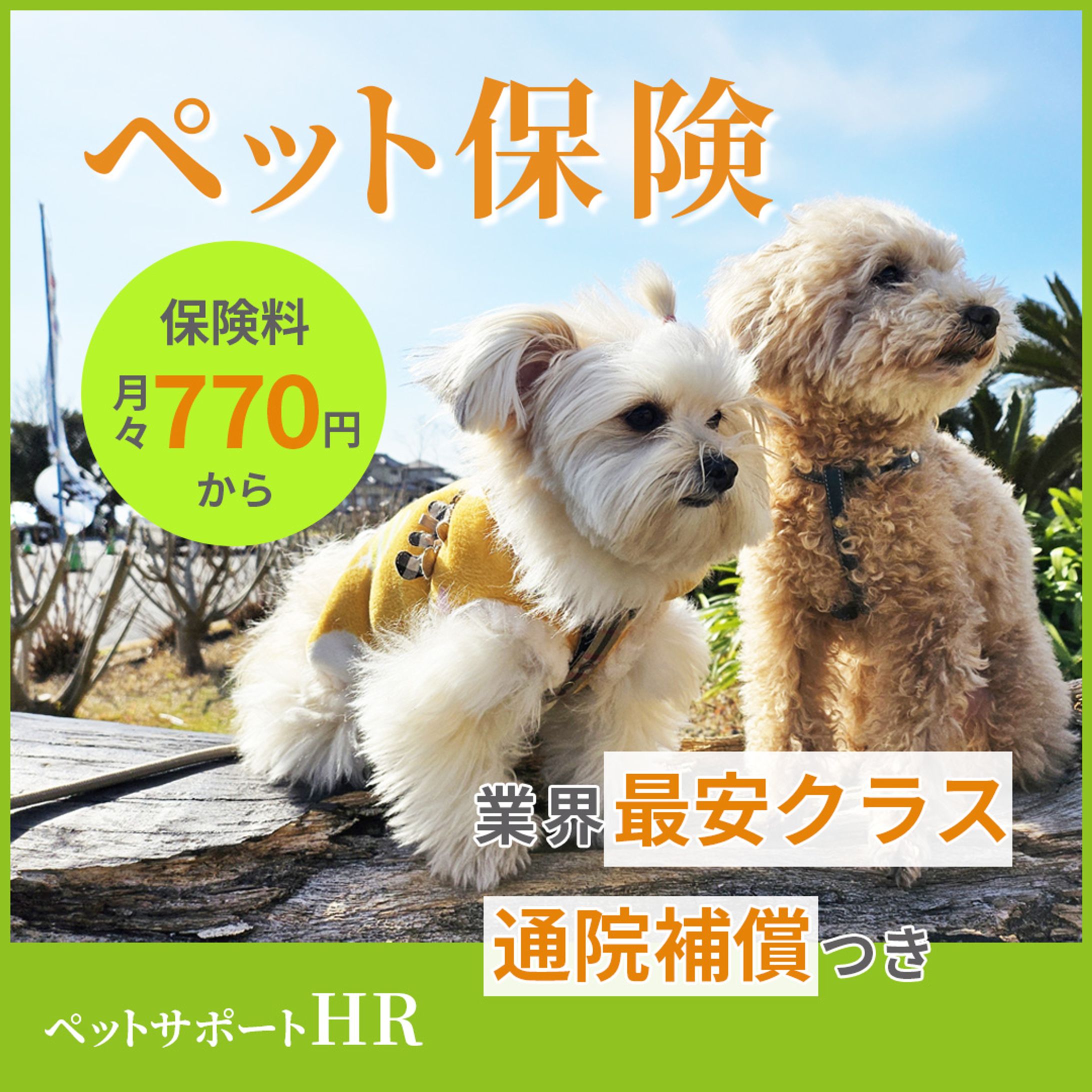 ペット保険【Instagram 広告用バナー】-1