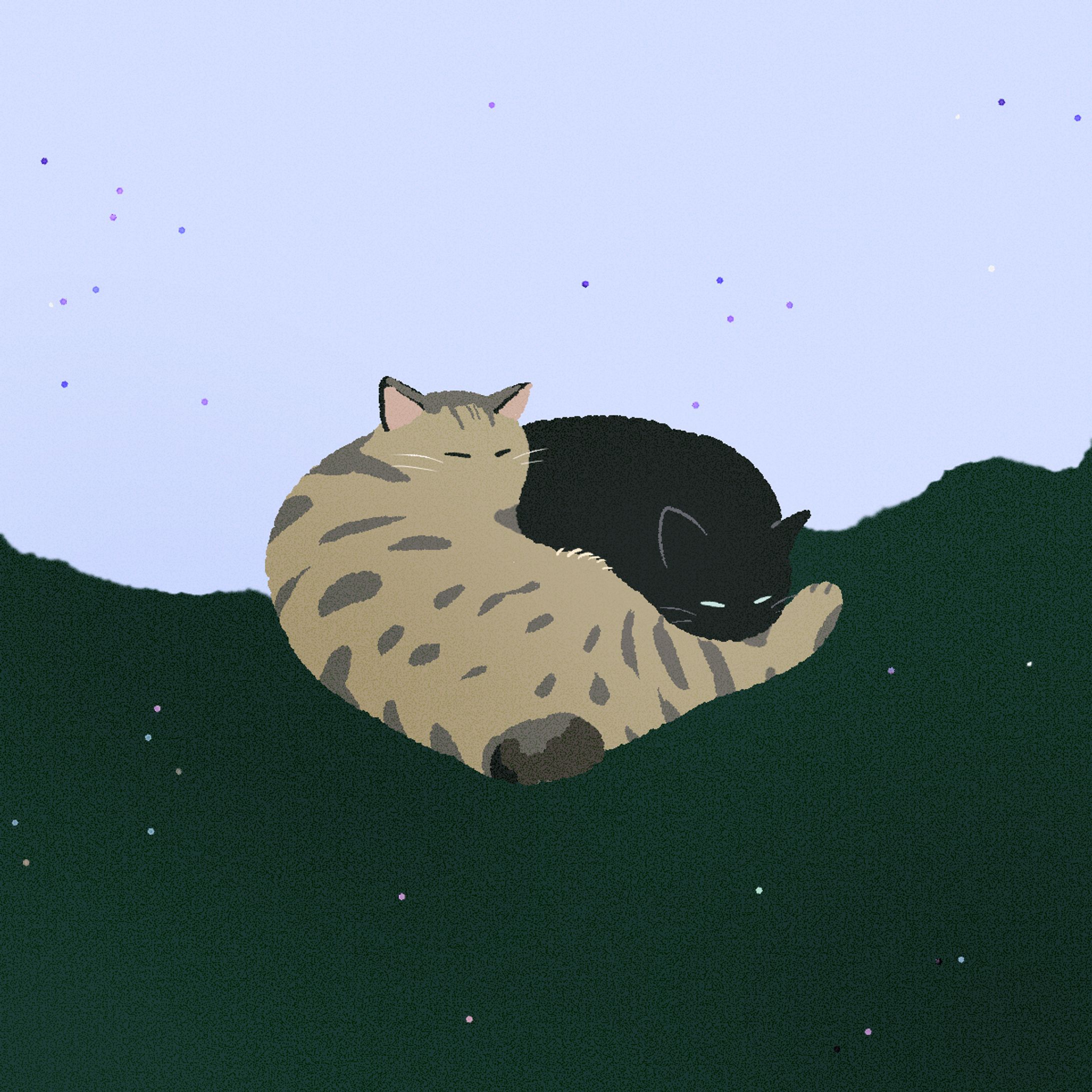 イラスト　猫-1