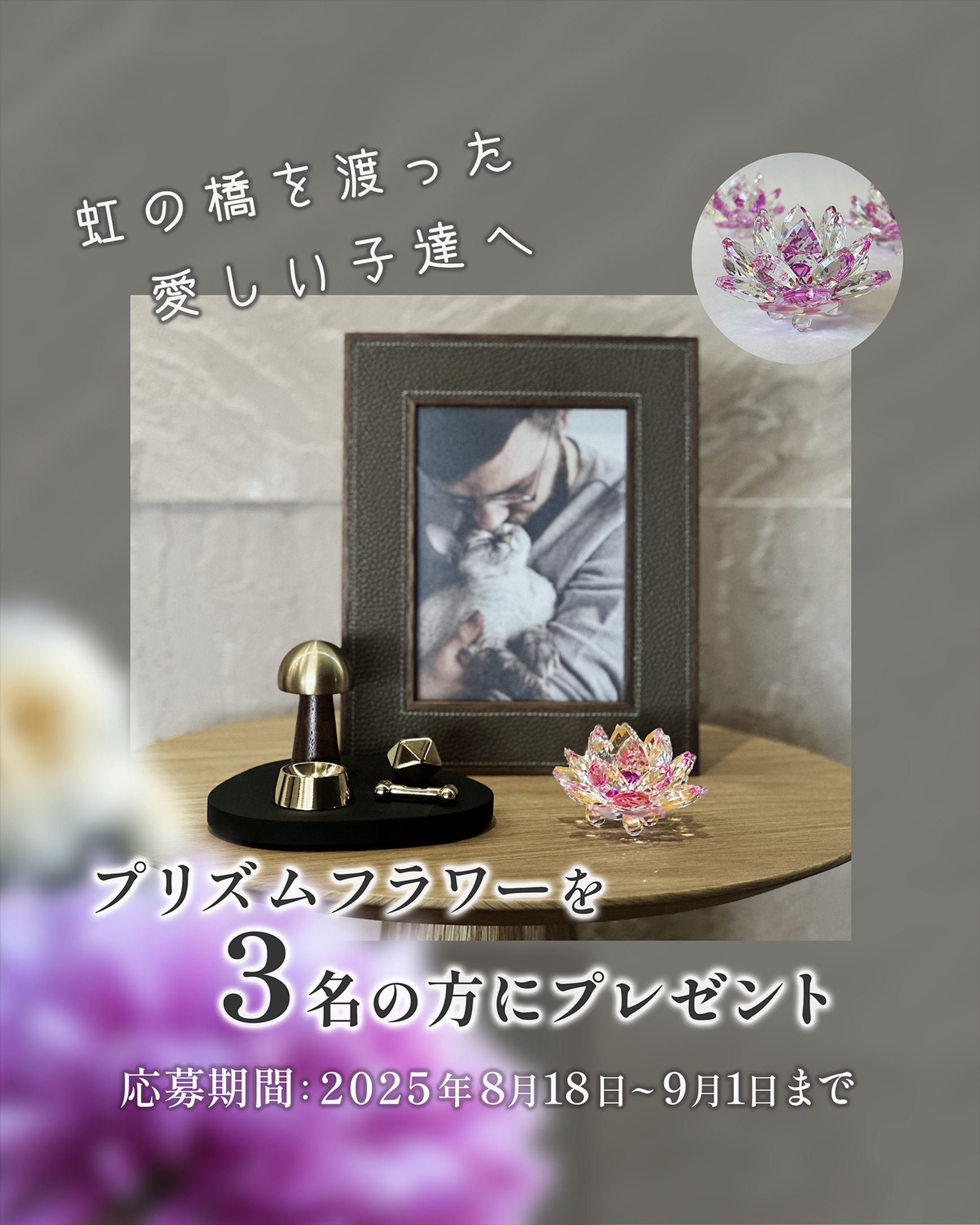 instagram用広告バナー-1