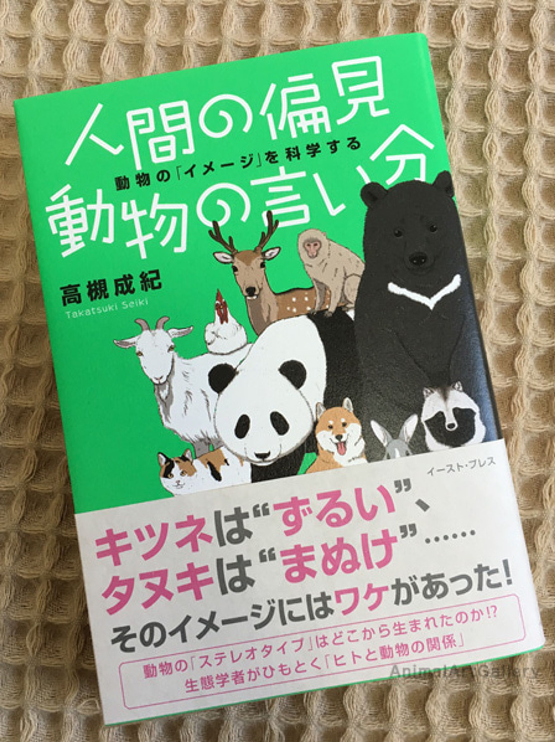 書籍　動物イラスト-1