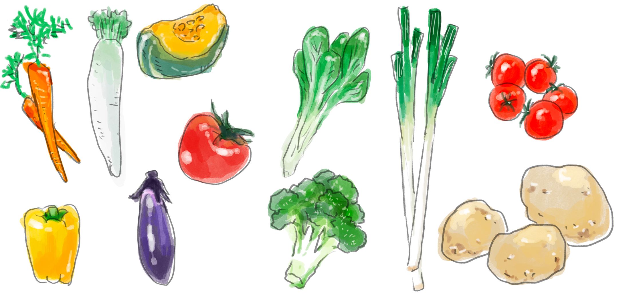 野菜のイラスト-1