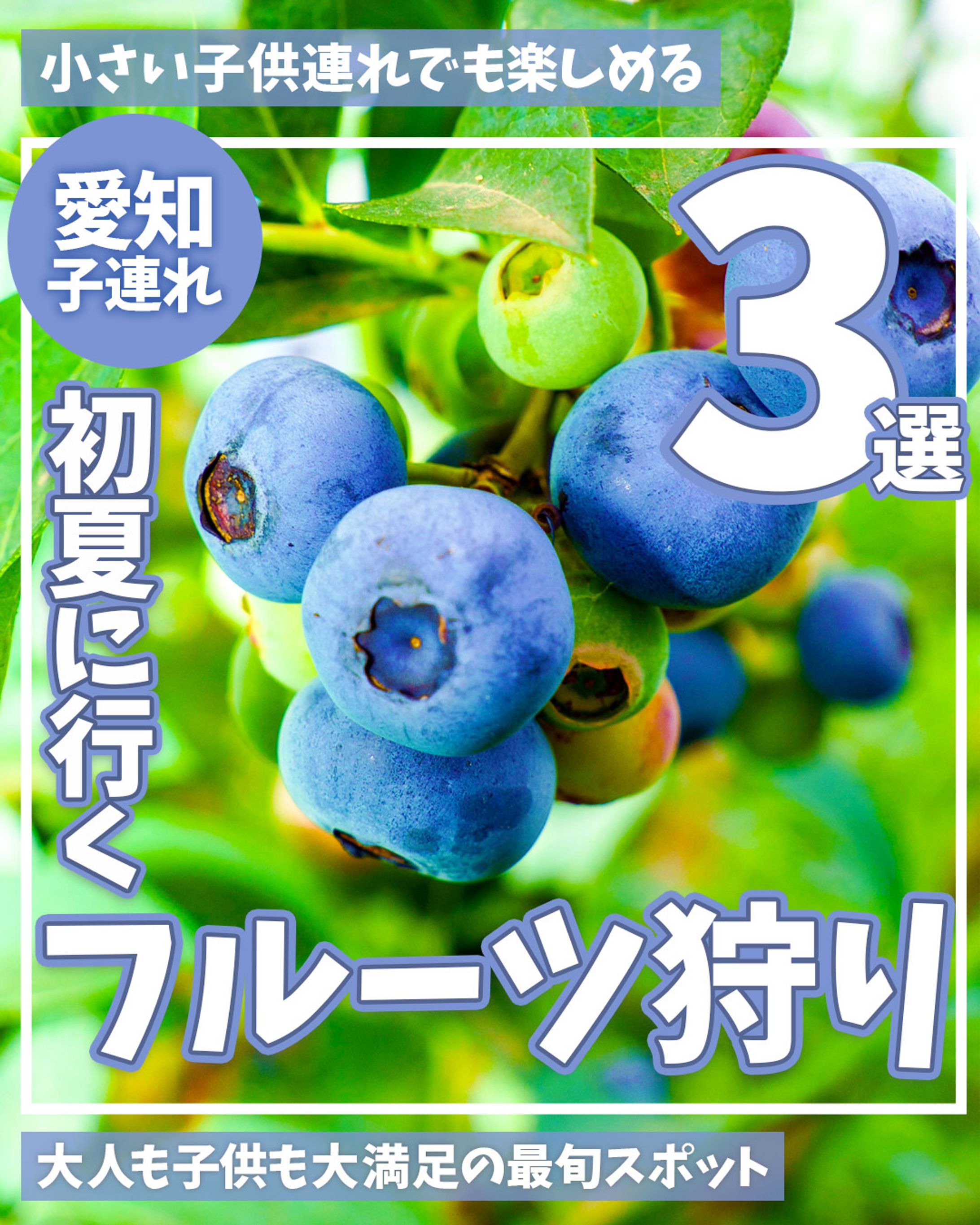 初夏に行きたいフルーツ狩り3選-1