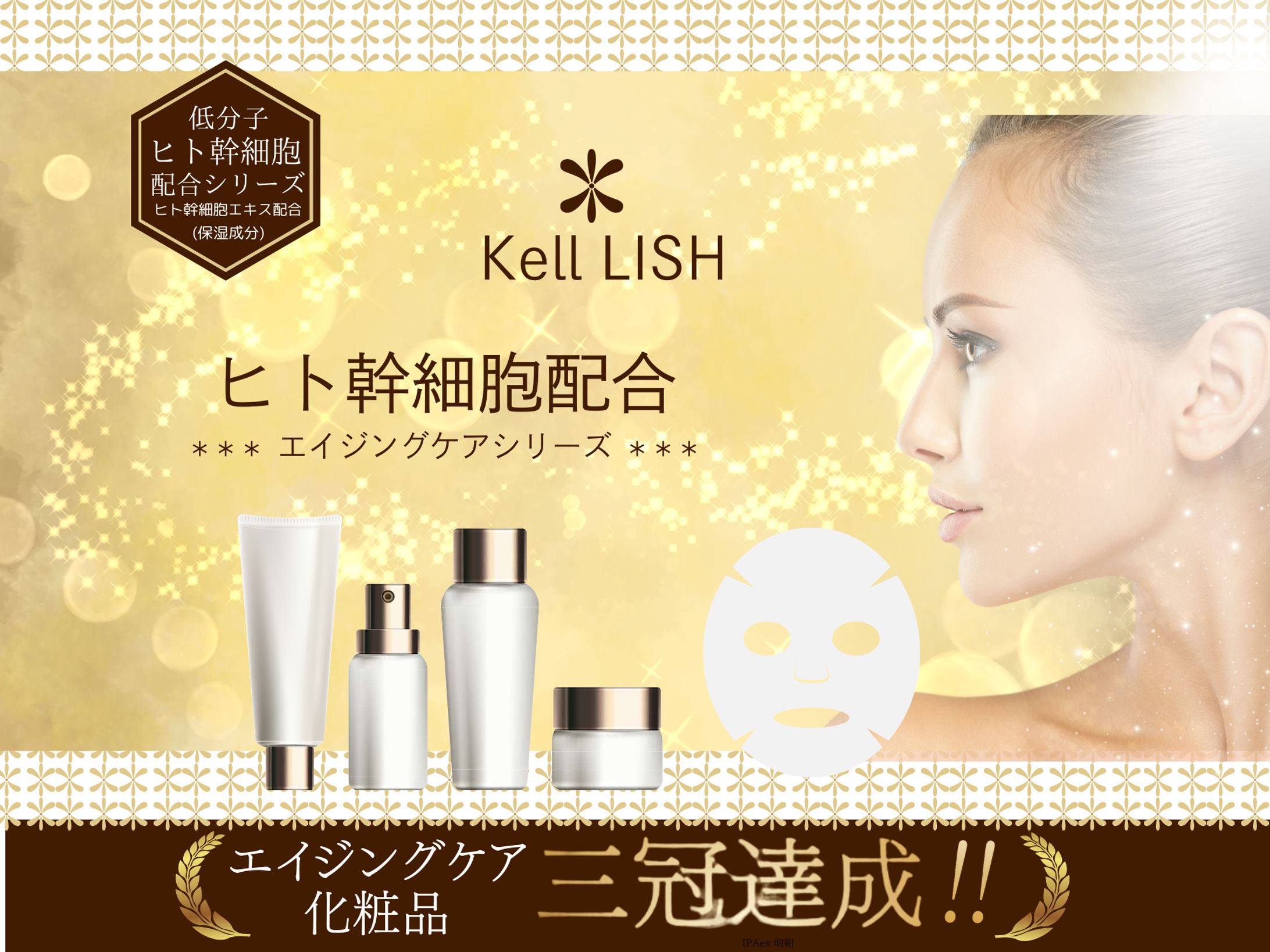 化粧品ポートフォリオ１-1