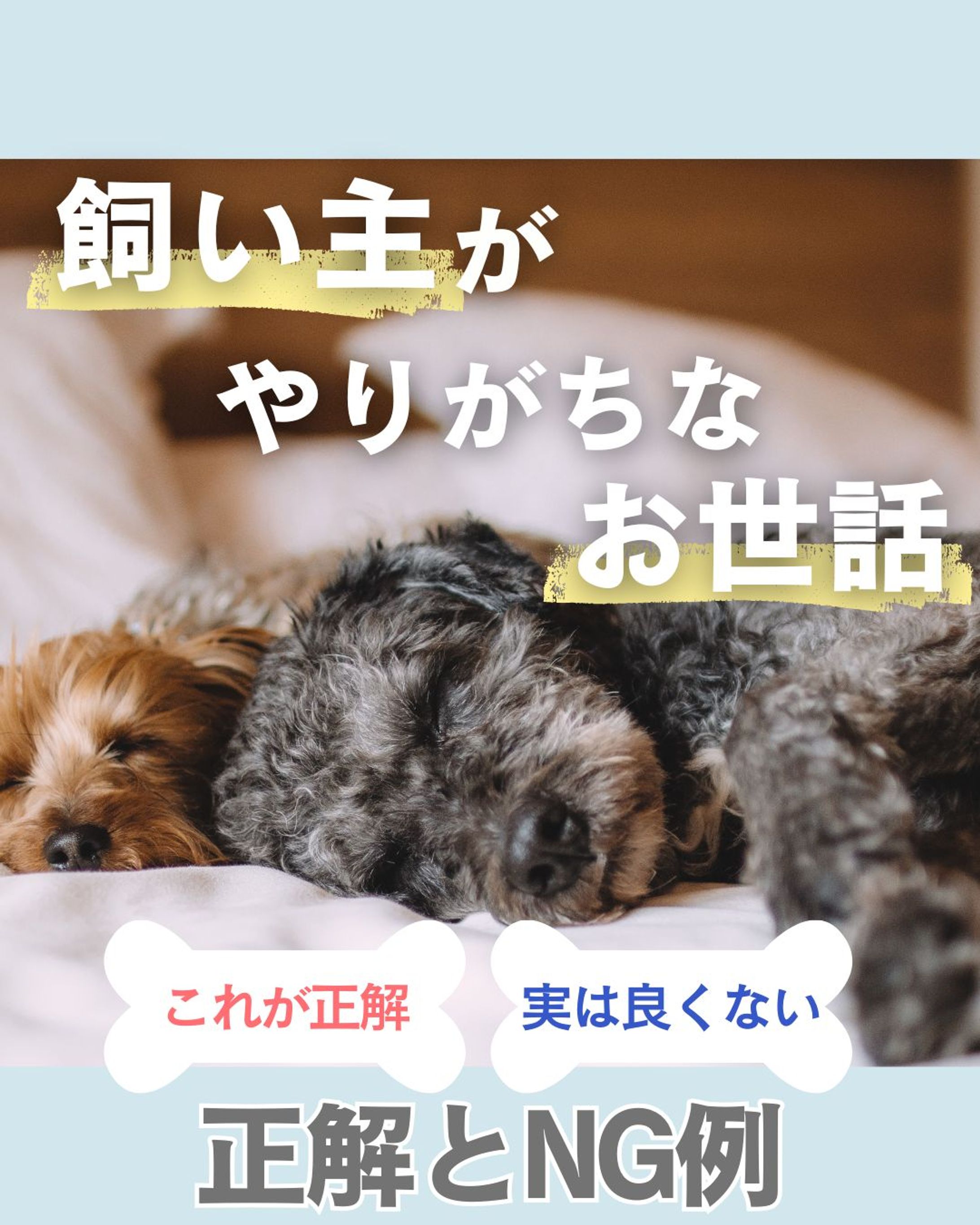 TikTok投稿画像_2-1