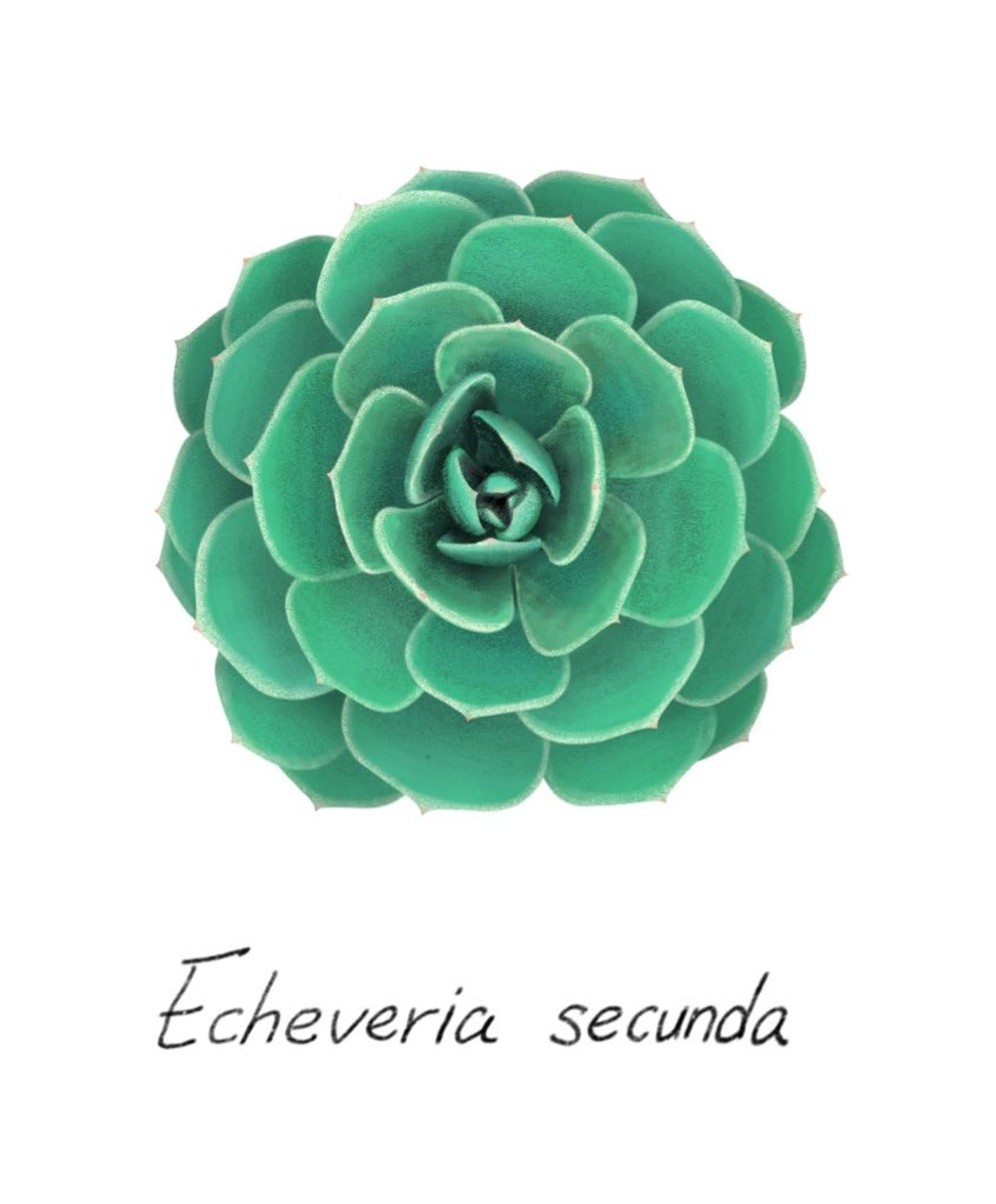 1C11C29F F4CE 47F3 AFBE A236E537A471-1
