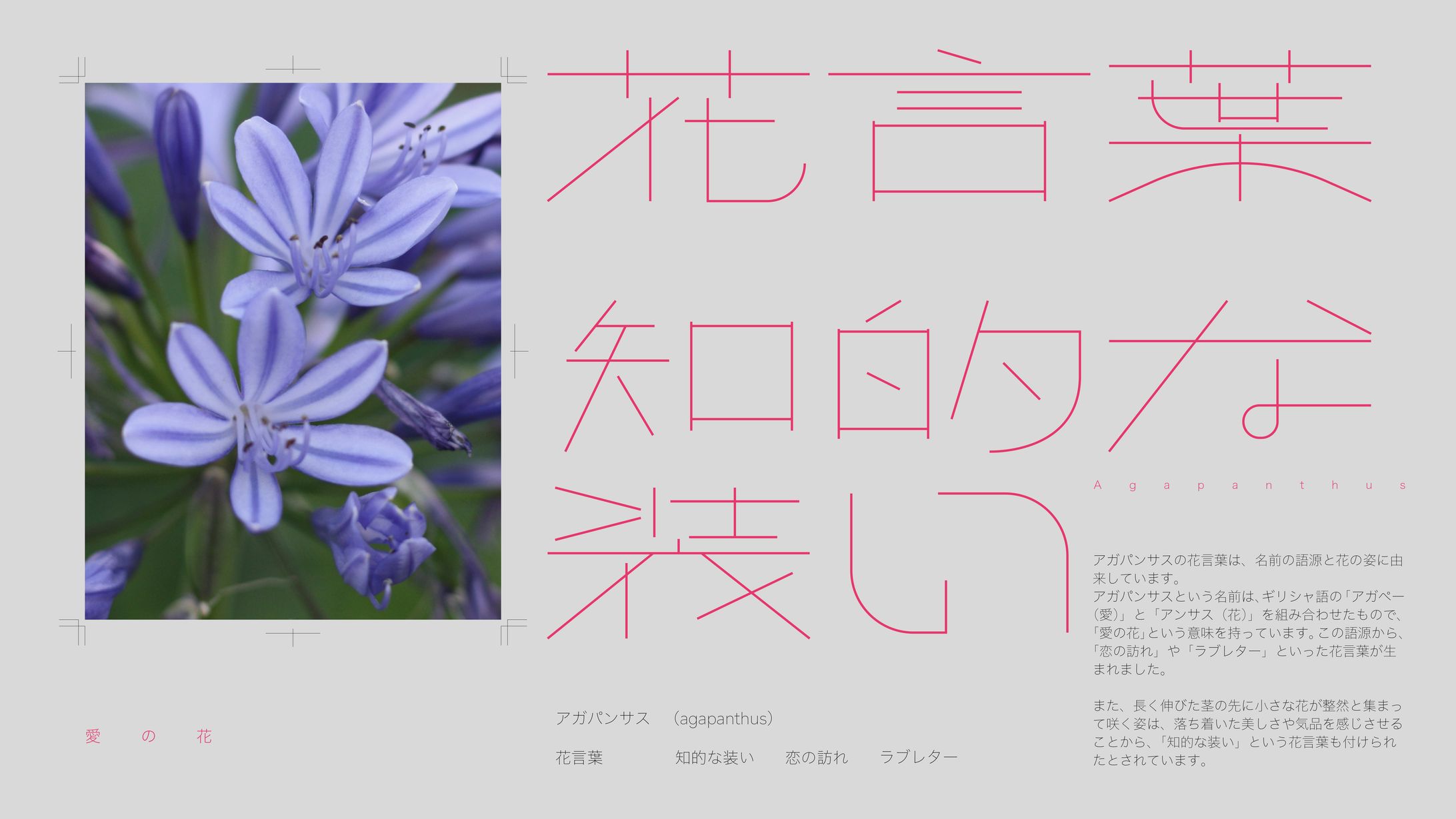 作字　知的な装い-1