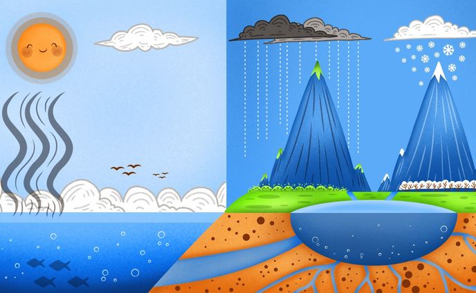 Drawing illustration for children book 