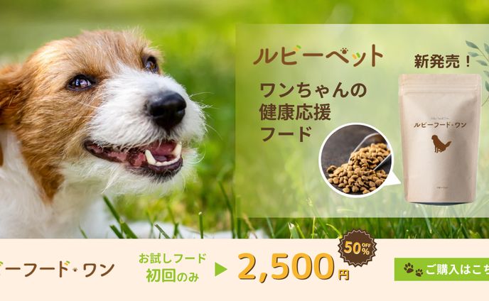 ワンちゃんの健康応援フード