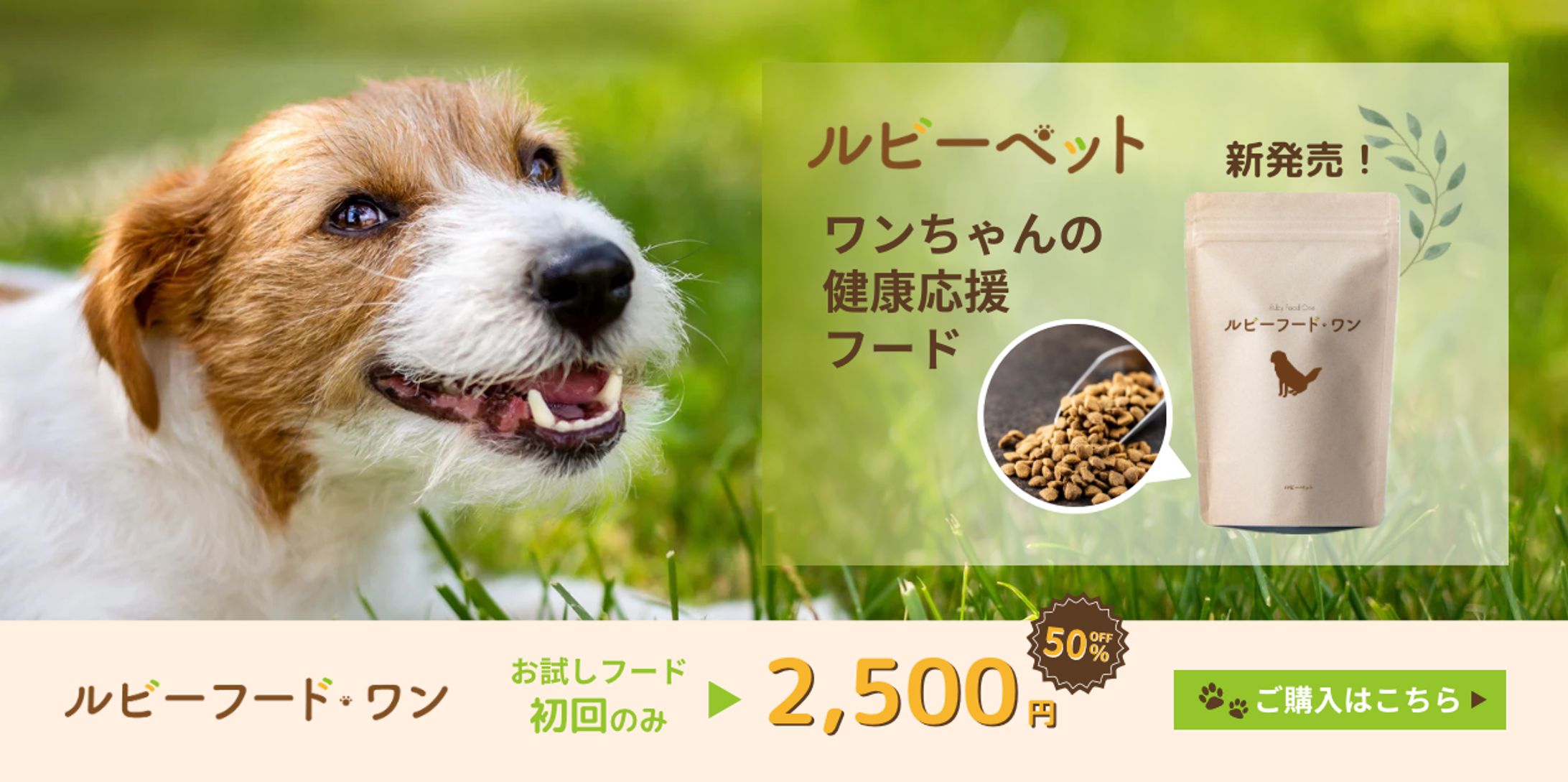 ワンちゃんの健康応援フード-1