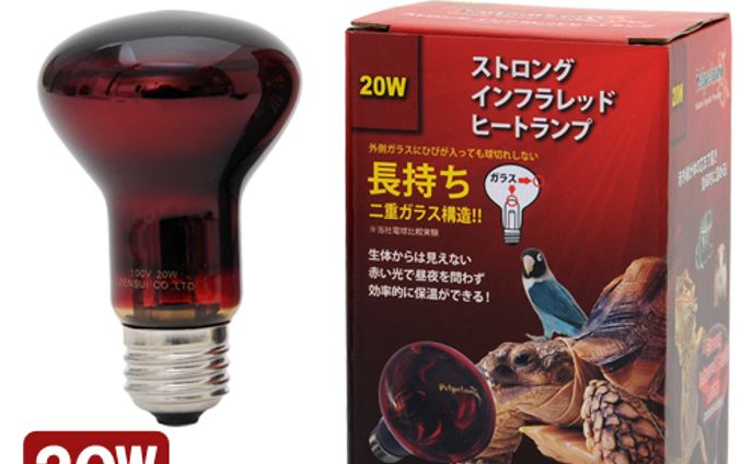 表紙デザイン、爬虫類