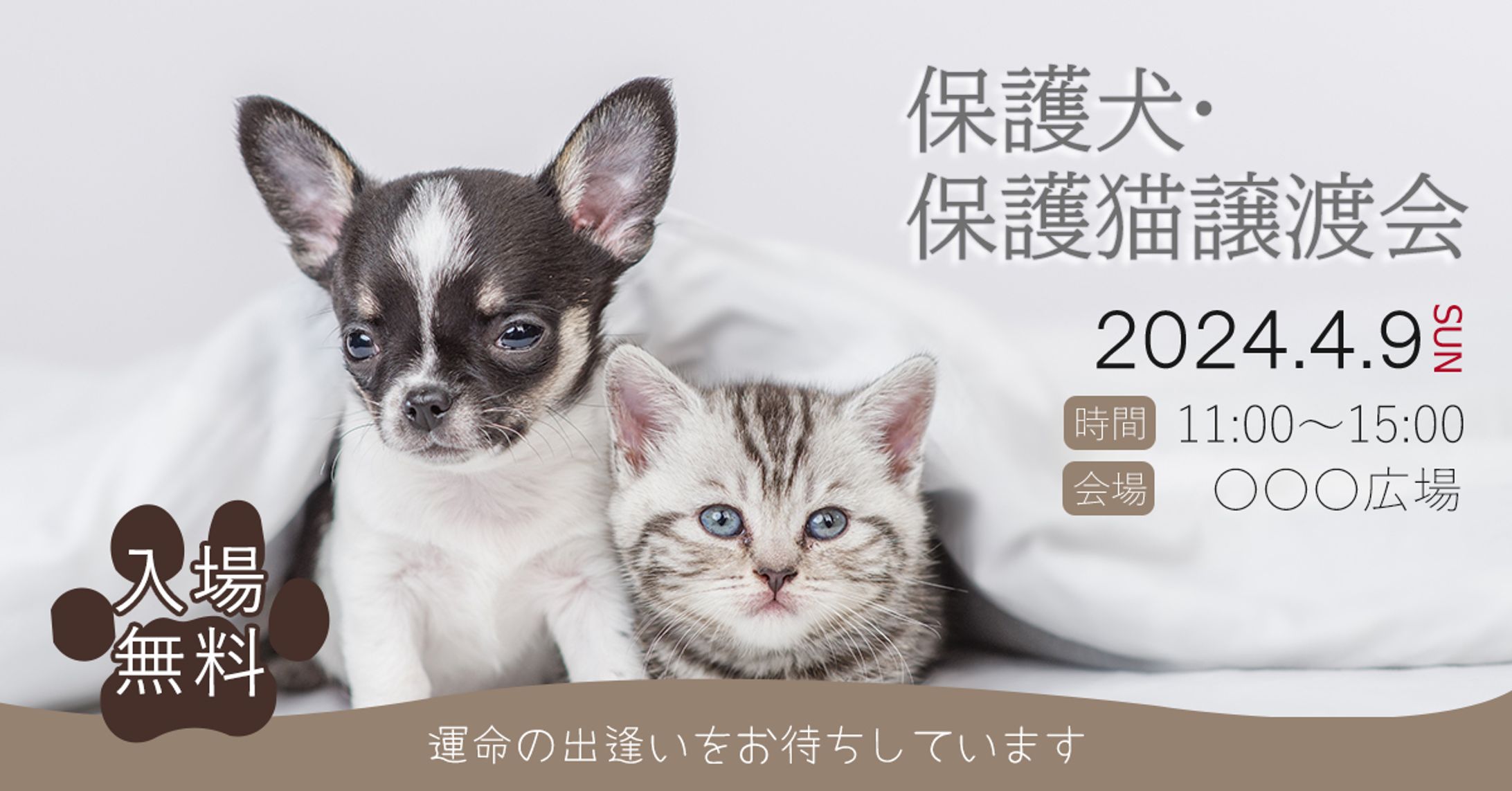 WEB広告バナー　保護犬・保護猫譲渡会-1