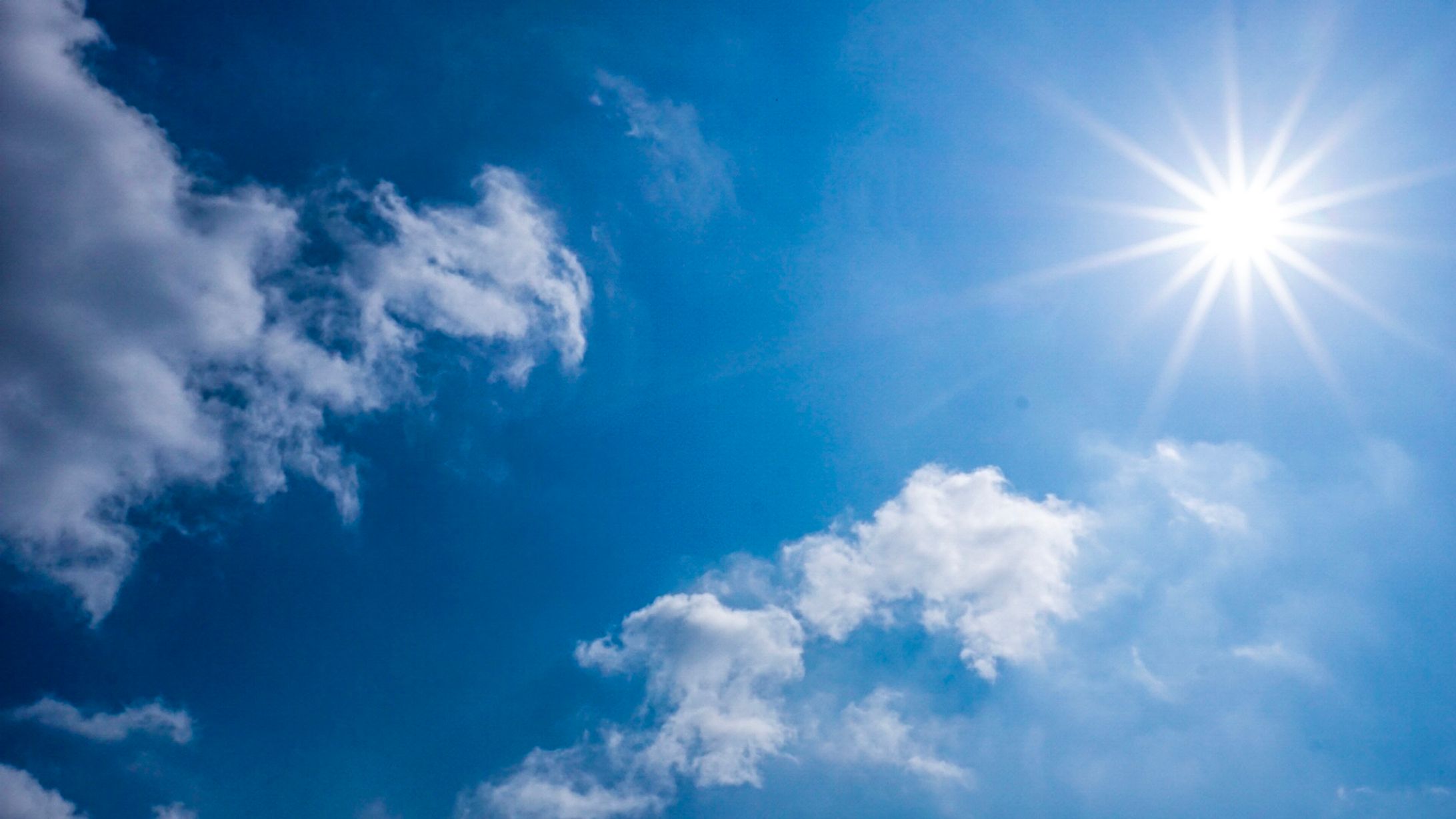 Sun-1