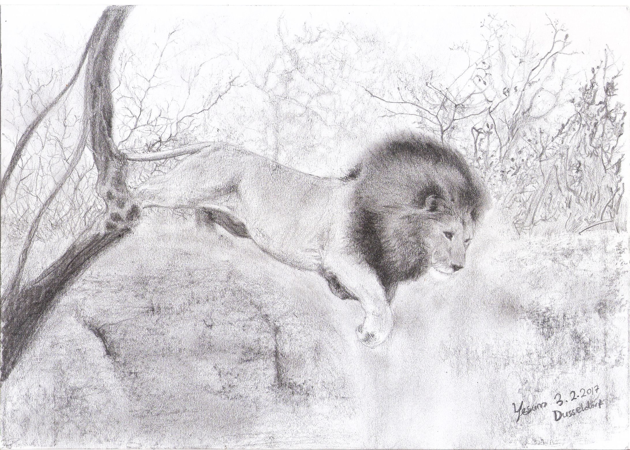 Pencil drawings (Bleistiftzeichnungen)-1