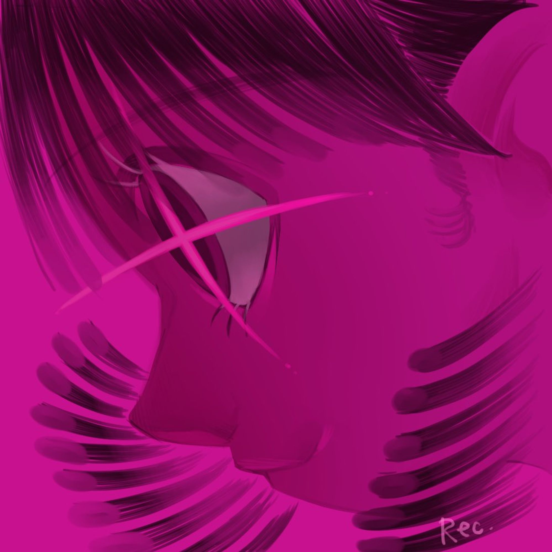 pink punk-1