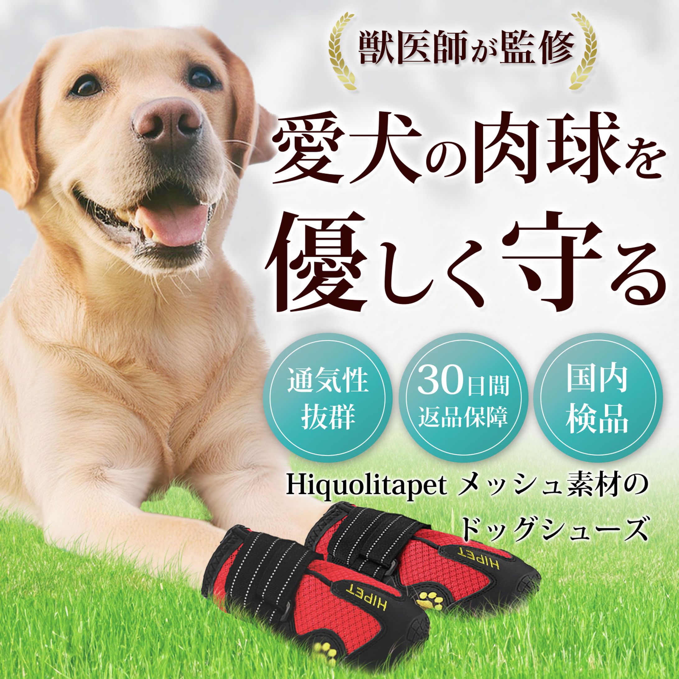 【実案件】（HiQuolitaPet様）ドッグシューズ　商品画像-1