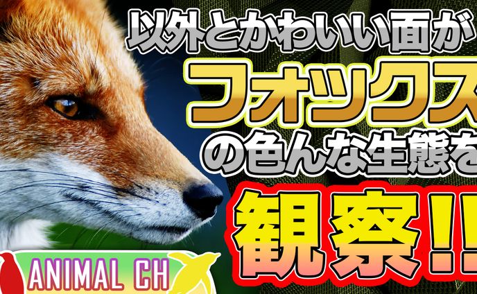 まとめチャンネル風サムネイルデザイン