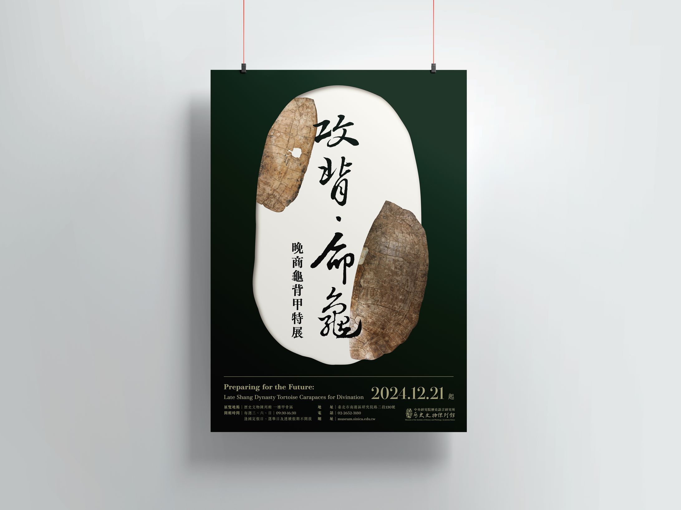 攻背．命龜：晚商龜背甲特展-1
