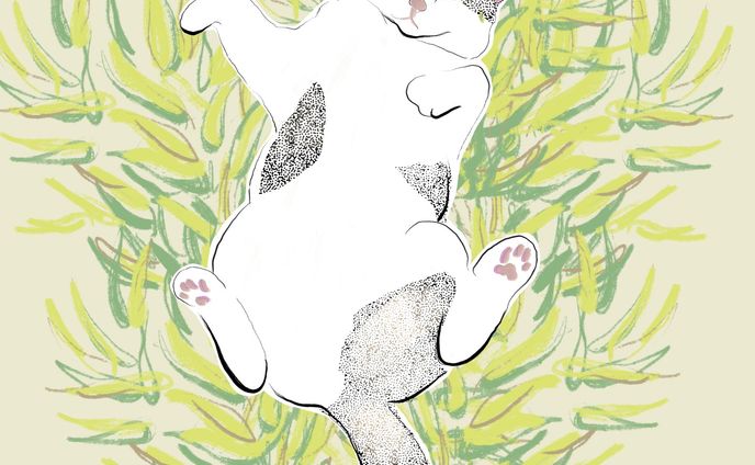 ・

cat on grass
猫と草

昨日見た起伏のある植物素敵だったな
（滋賀県にあるCLUB HARIEのラコリーナに生えていました）
焼きたてバウムクーヘンのふかふかに感動！

明日からまた一週間が始まりますね
小さな発見と
小さな幸せを
楽しみな日々に

#art
#drawing
#chill
#relax
#textile
#skunkcabbage
#animal
#cat
#fashion
#illustration
#fresco
#nft
#metaverse
#clubharie
#lacollina
#ラコリーナ近江八幡
#バウムクーヘン
#イラスト
#おしゃれ
#挿絵
#テキスタイル
#猫