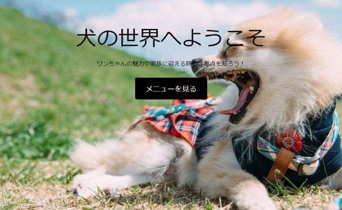 web制作　犬について