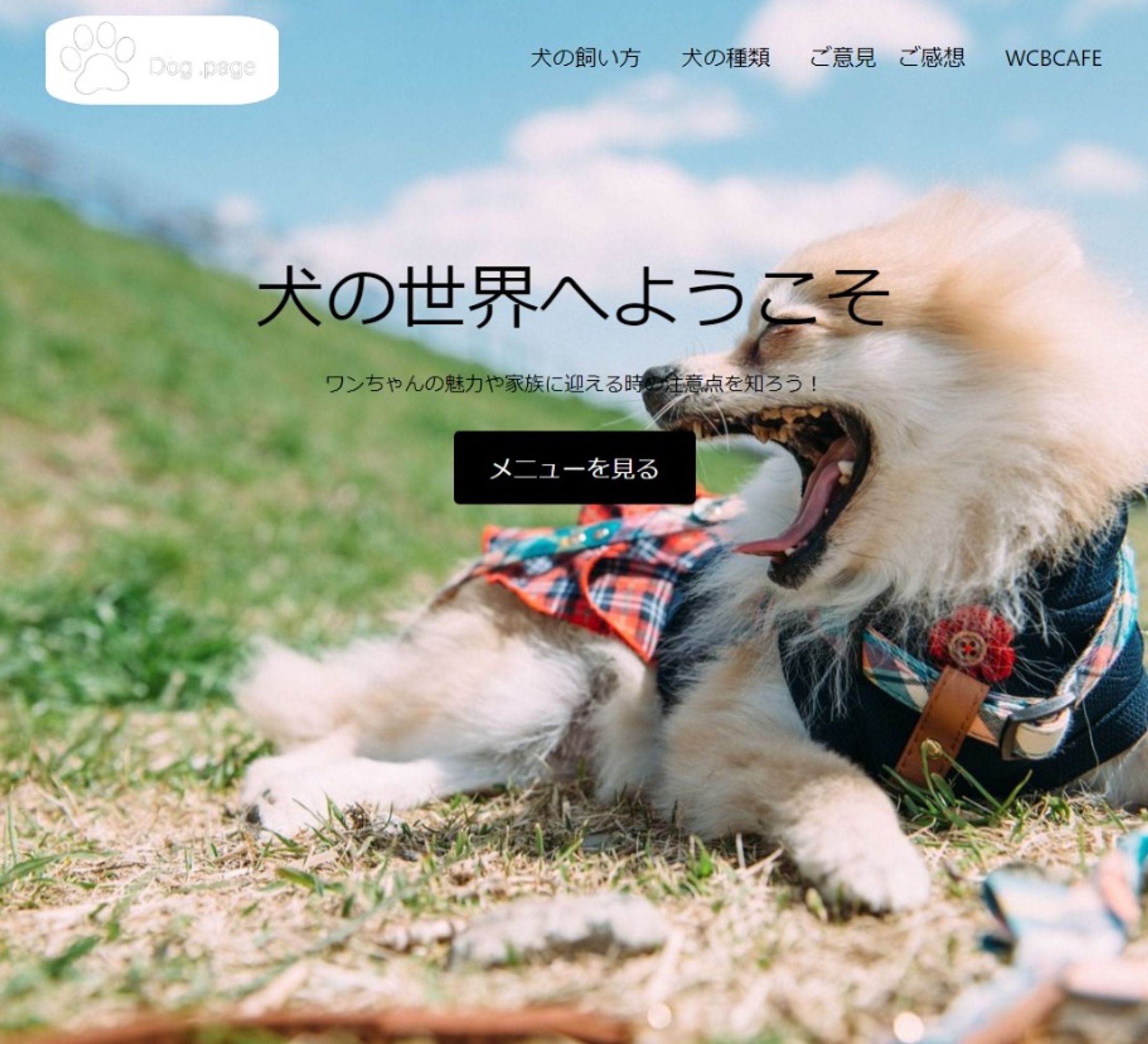 web制作　犬について-1