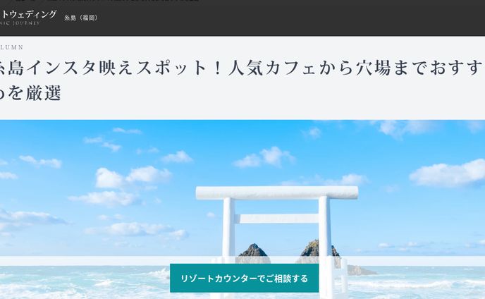 フォトグラファー、コラム