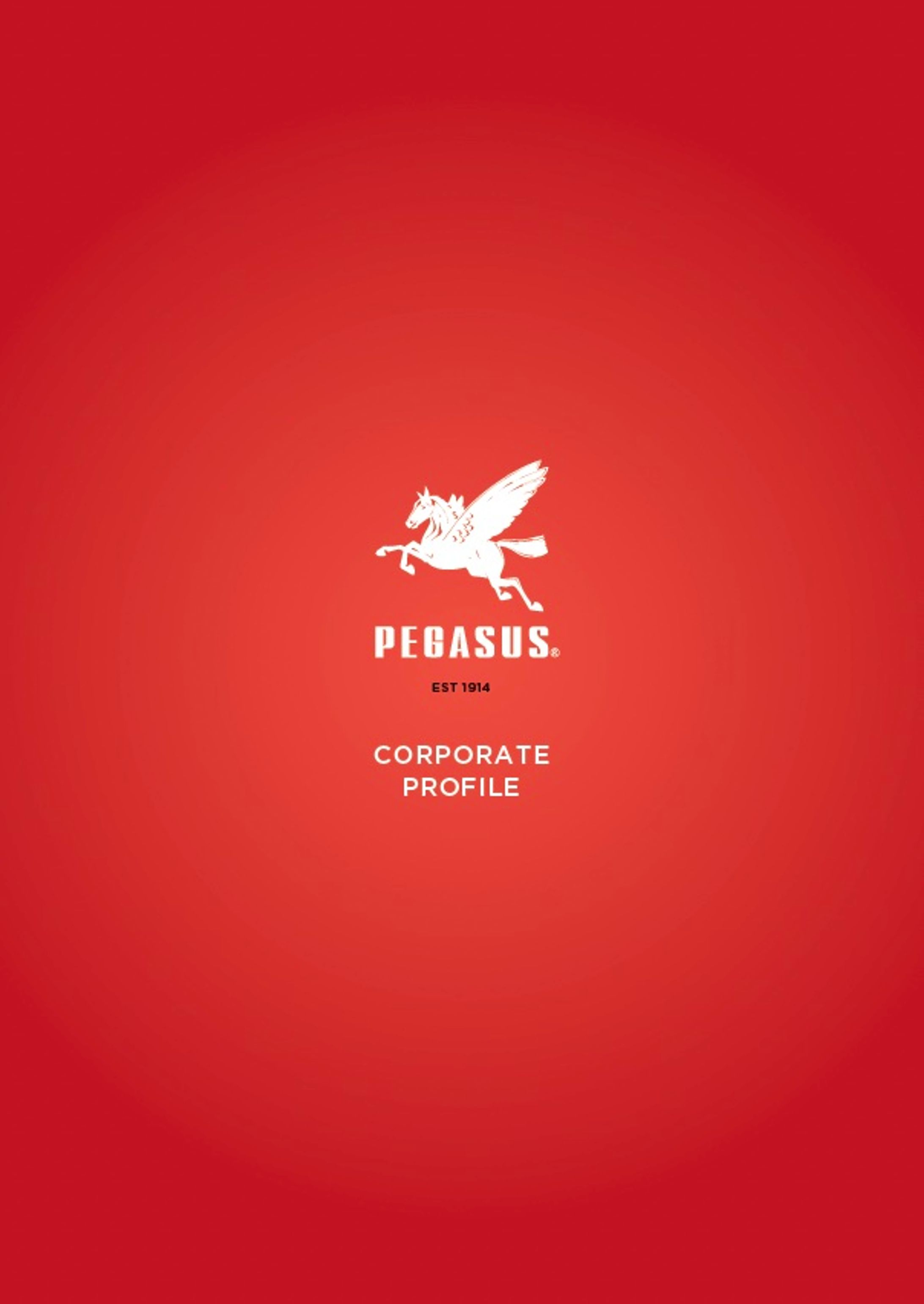 株式会社PEGASUS 会社案内-1