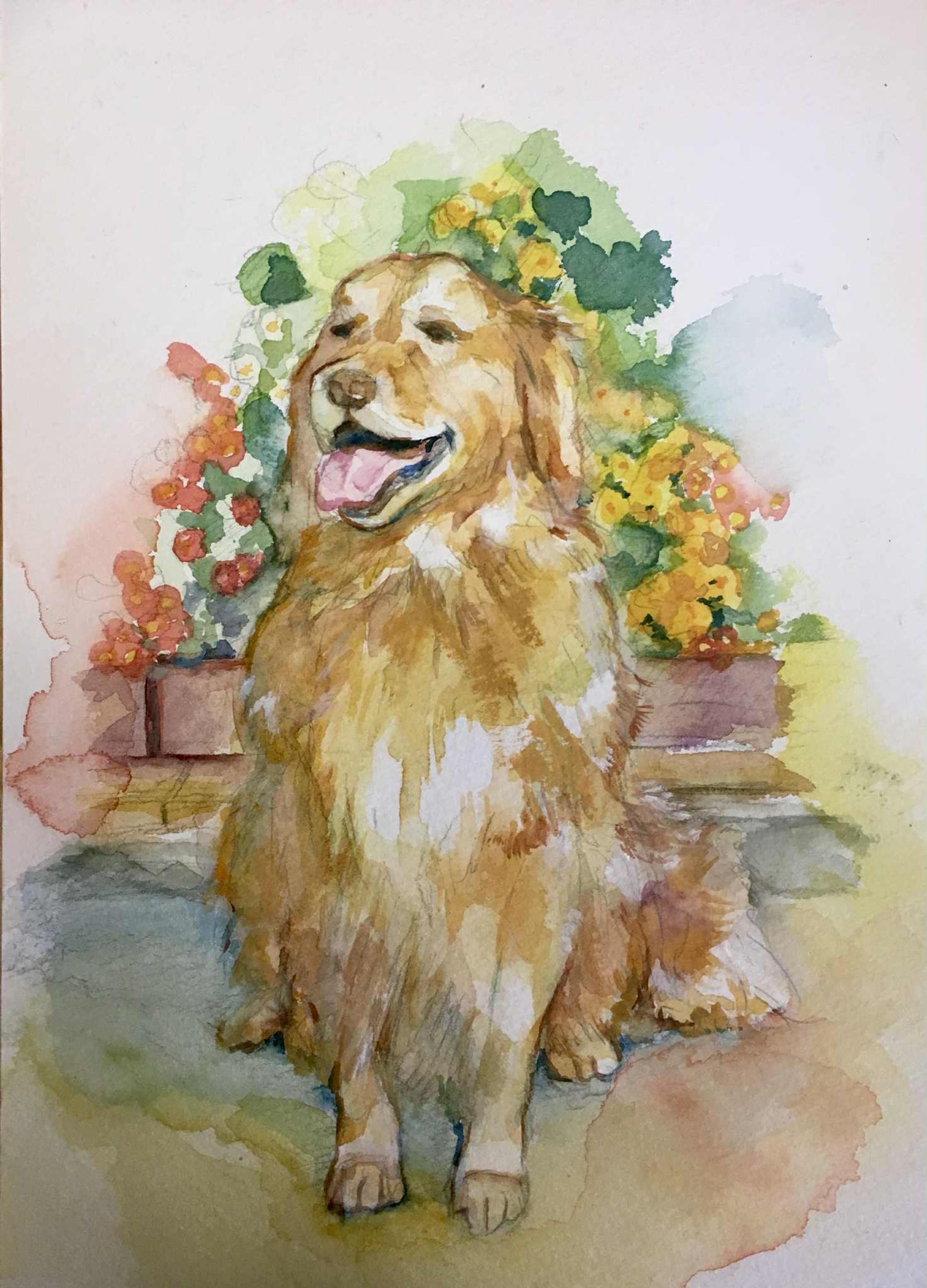 水彩画の動物イラスト-1