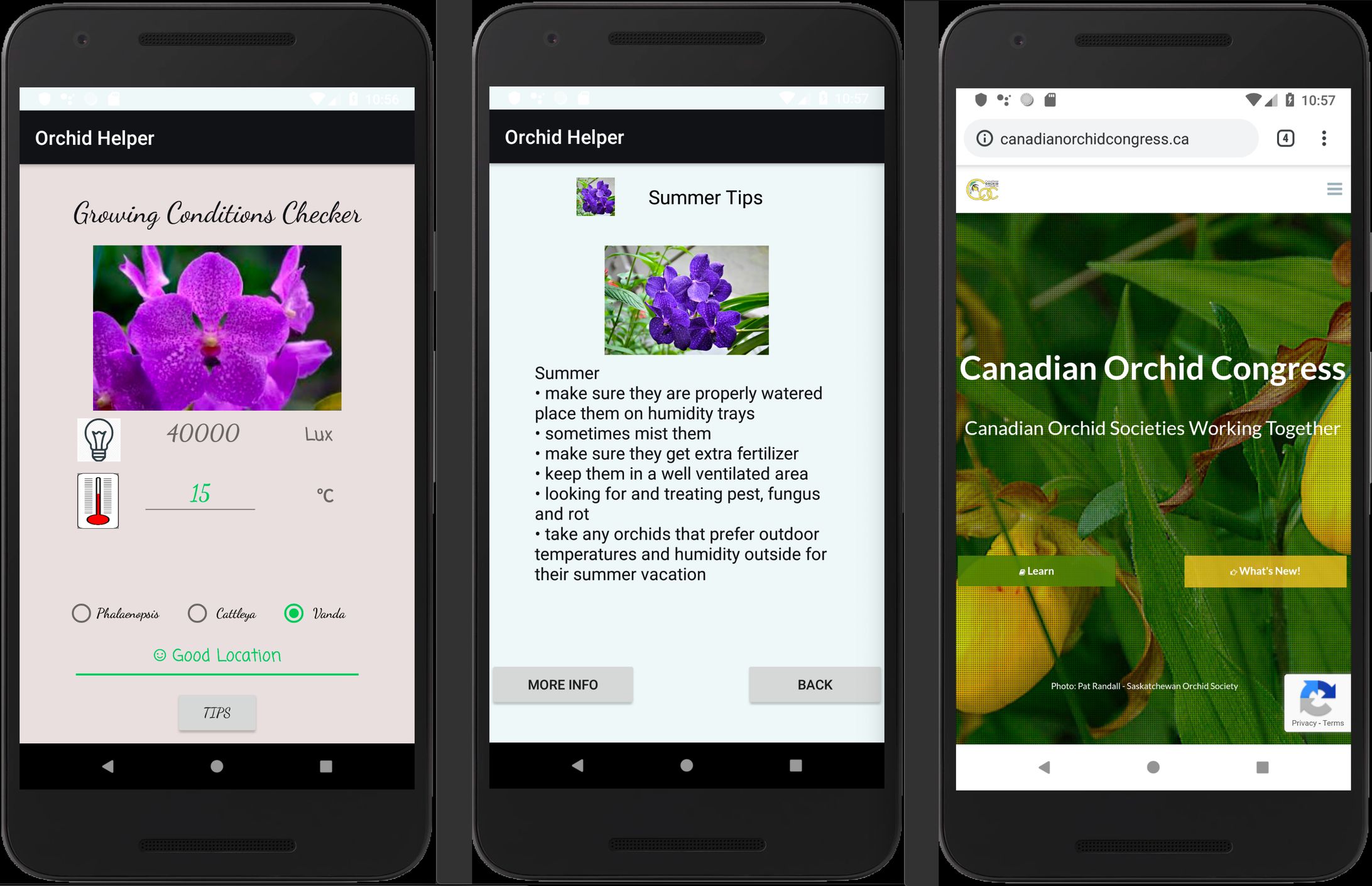 Orchid Helper -1