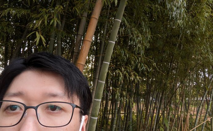 無記名記事4本