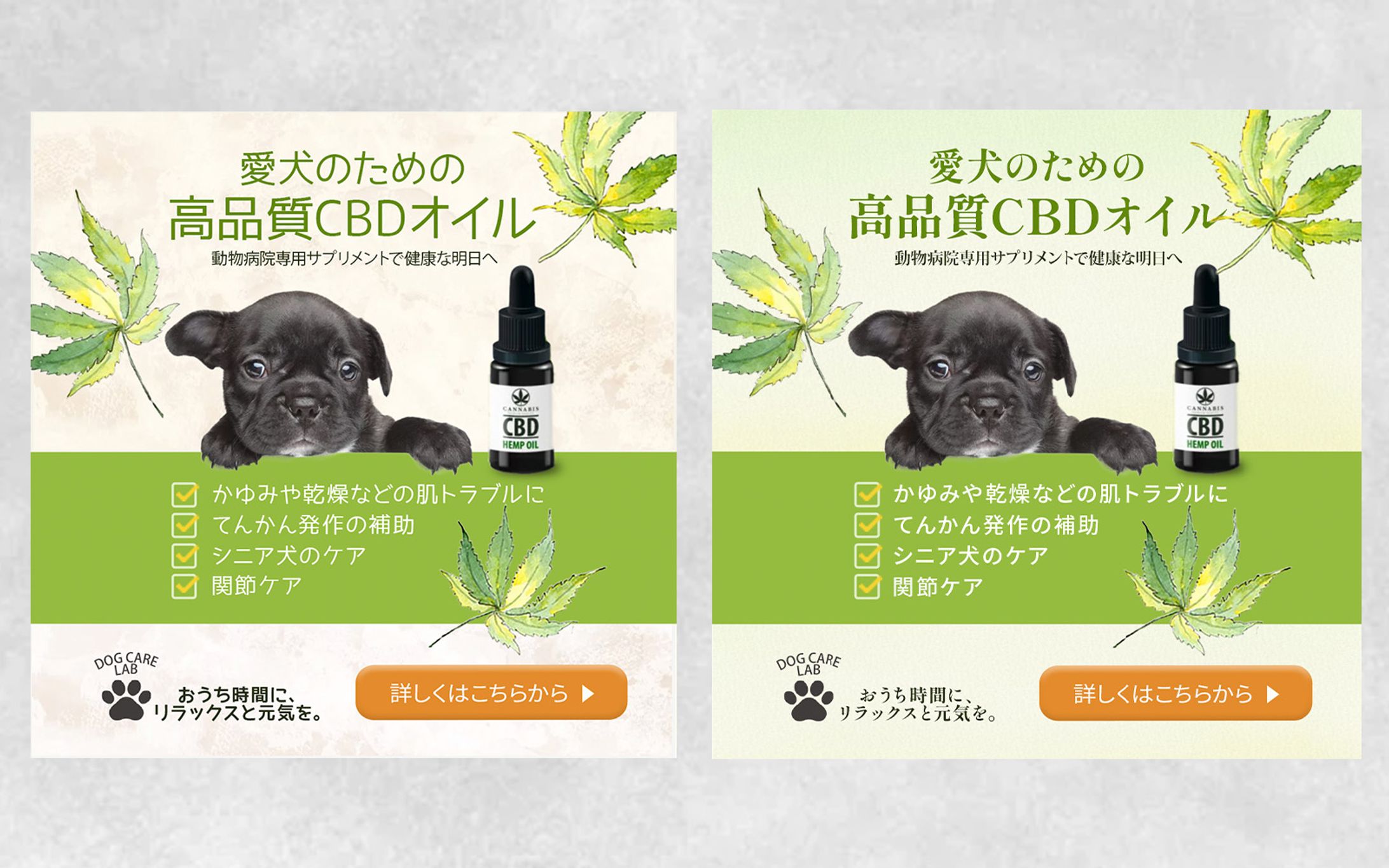 【バナー】愛犬のためのCBDオイル-1