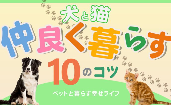 オリジナルサムネイル　ペットチャンネル