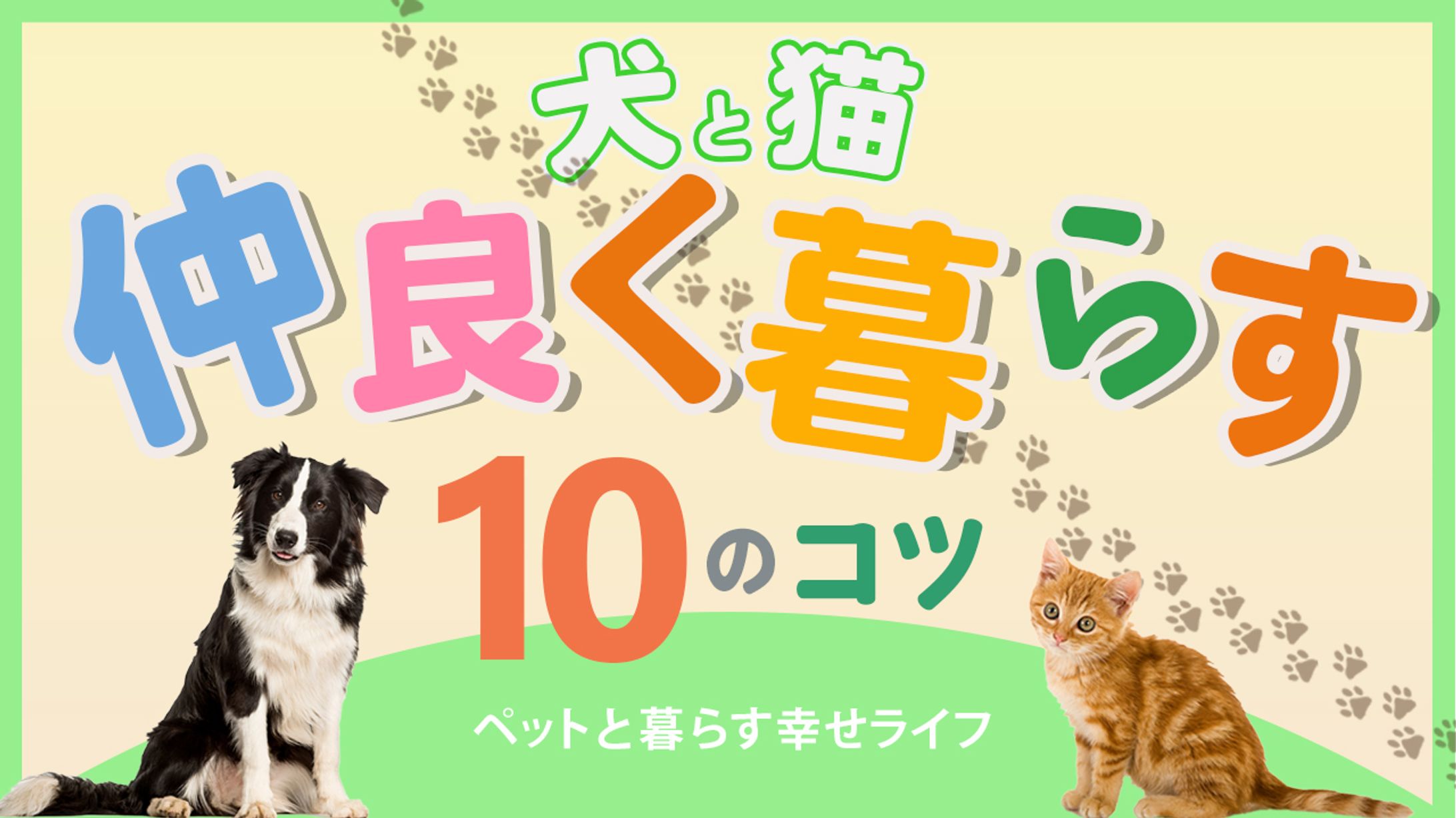 オリジナルサムネイル　ペットチャンネル-1