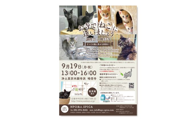お寺で「ねこ」に逢いましょう 譲渡会in唯信寺｜チラシ