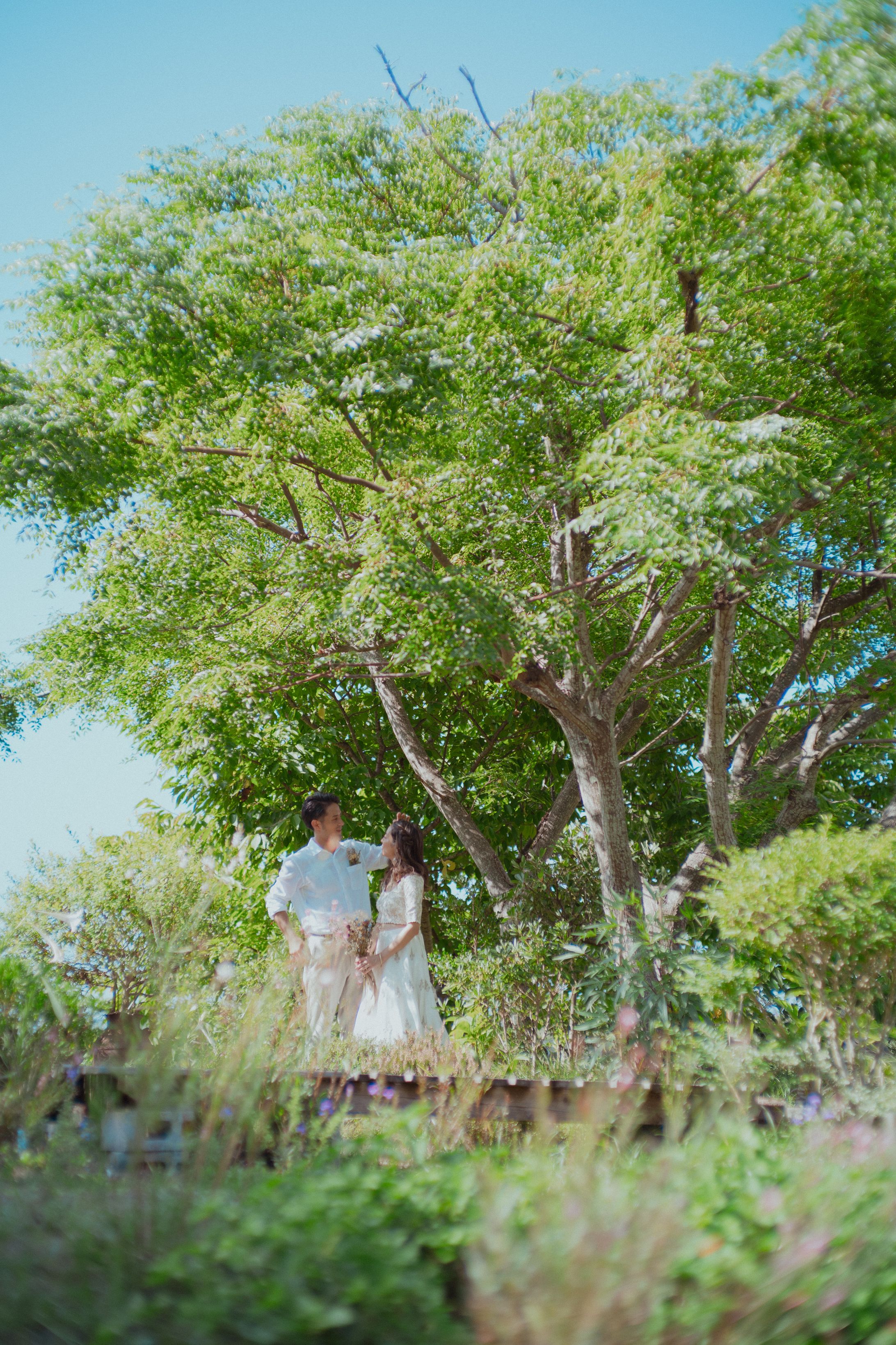 Wedding photo-1