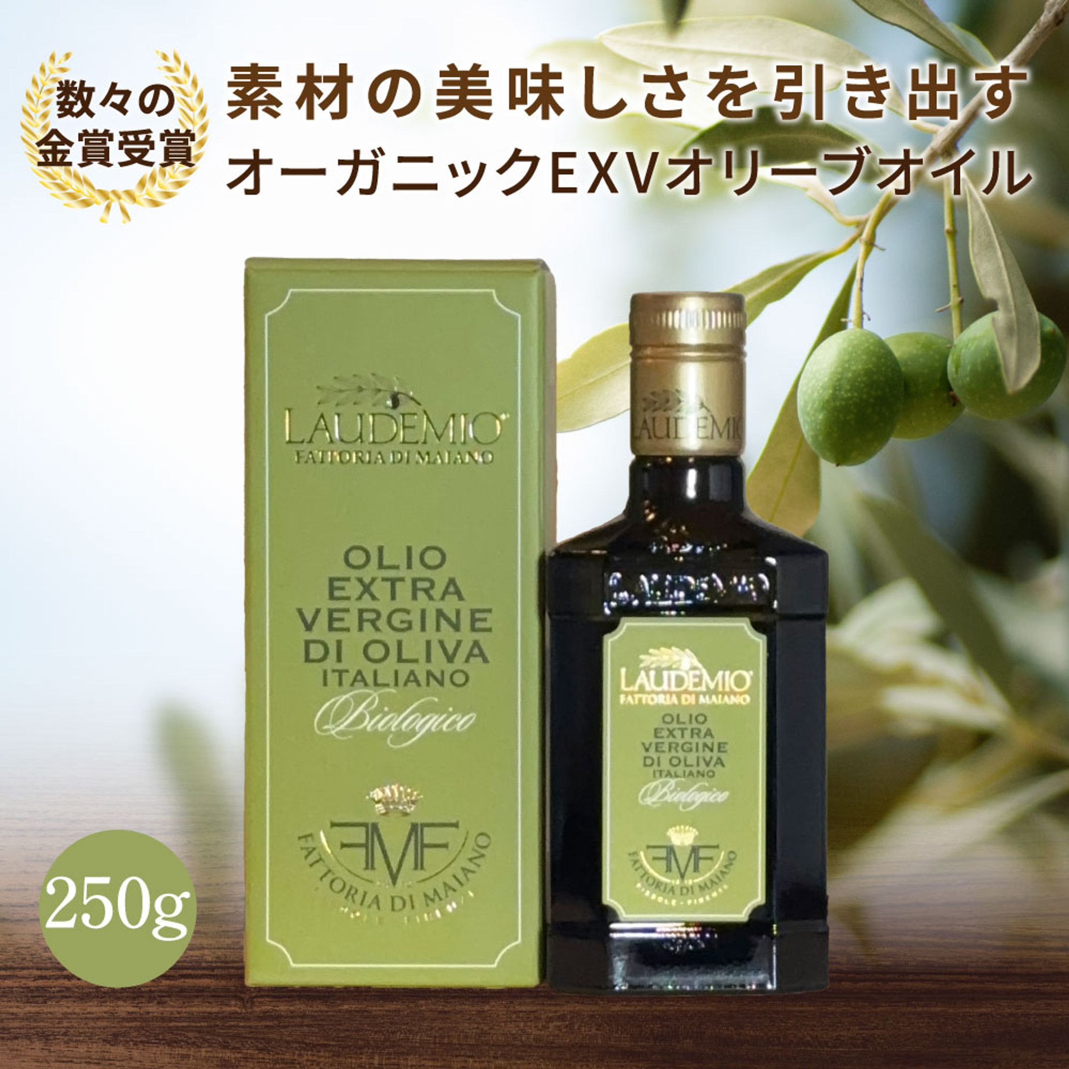 オリーブオイル：ショートLP-1