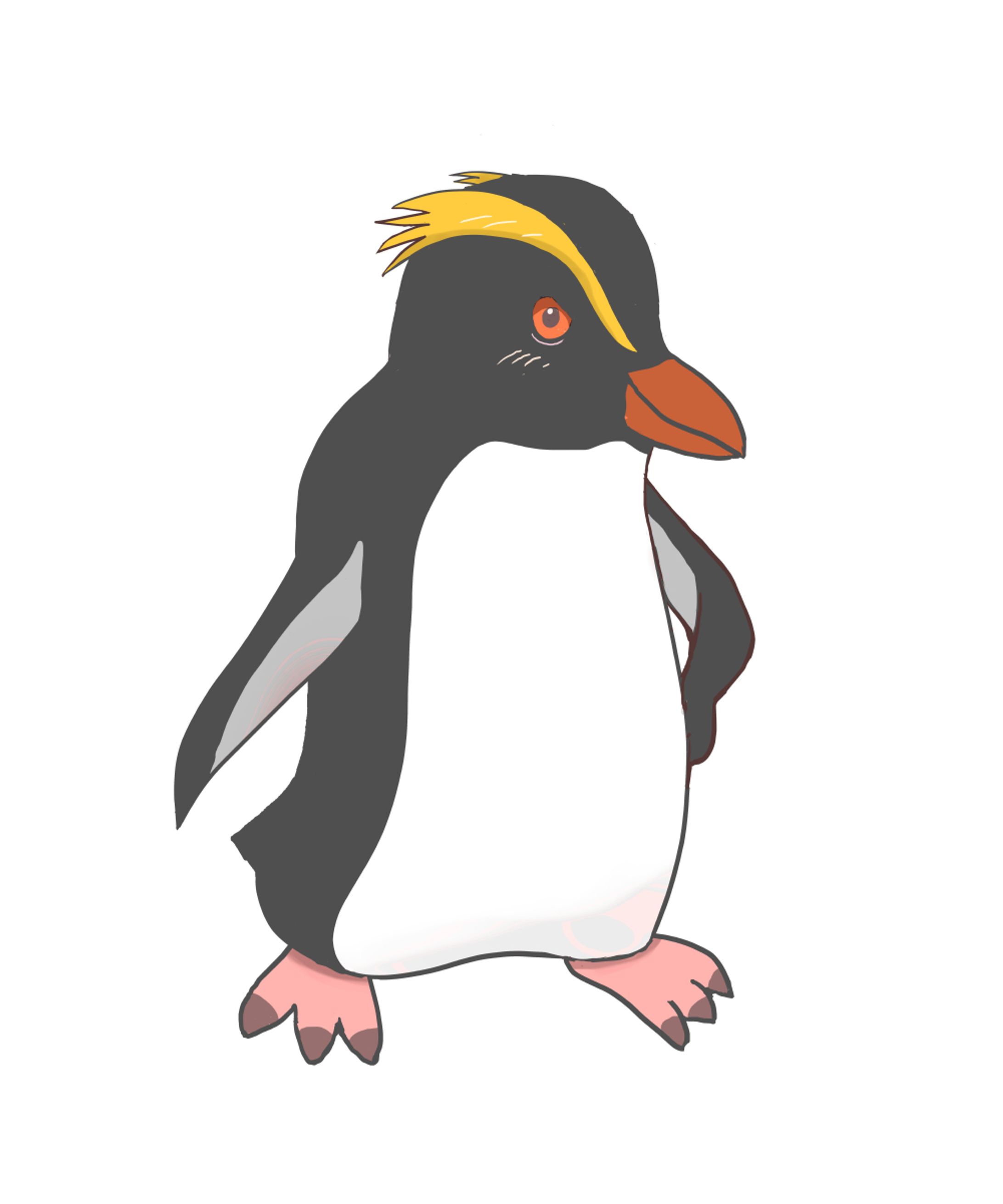 フィヨルドランドペンギン-1