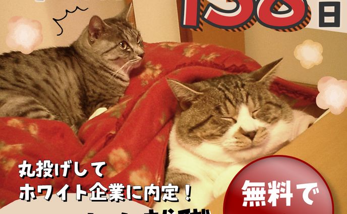 就活支援サイトSNS広告バナー