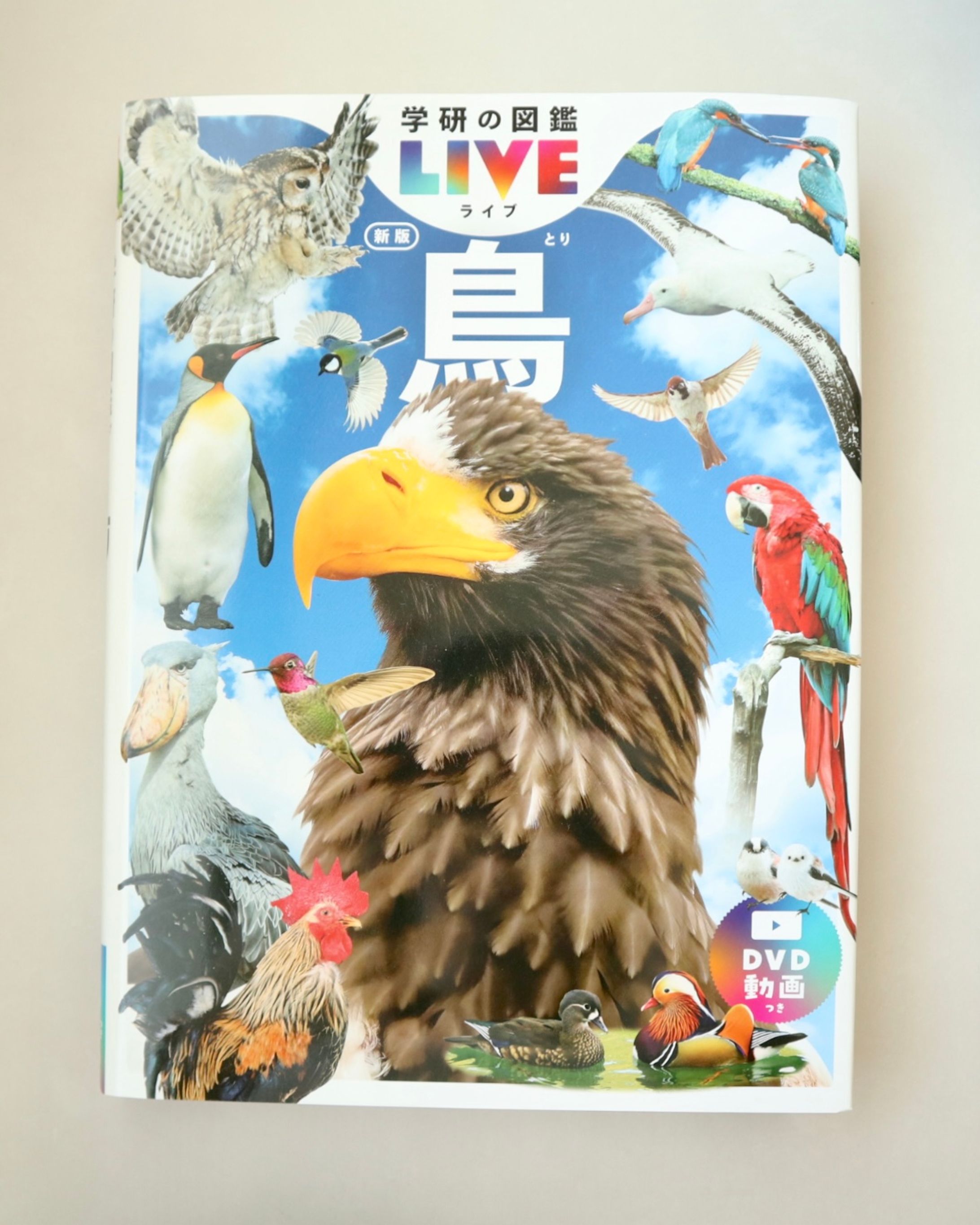 （株）学研さま『学研の図鑑LIVE 新版 鳥』一部挿絵イラスト-1