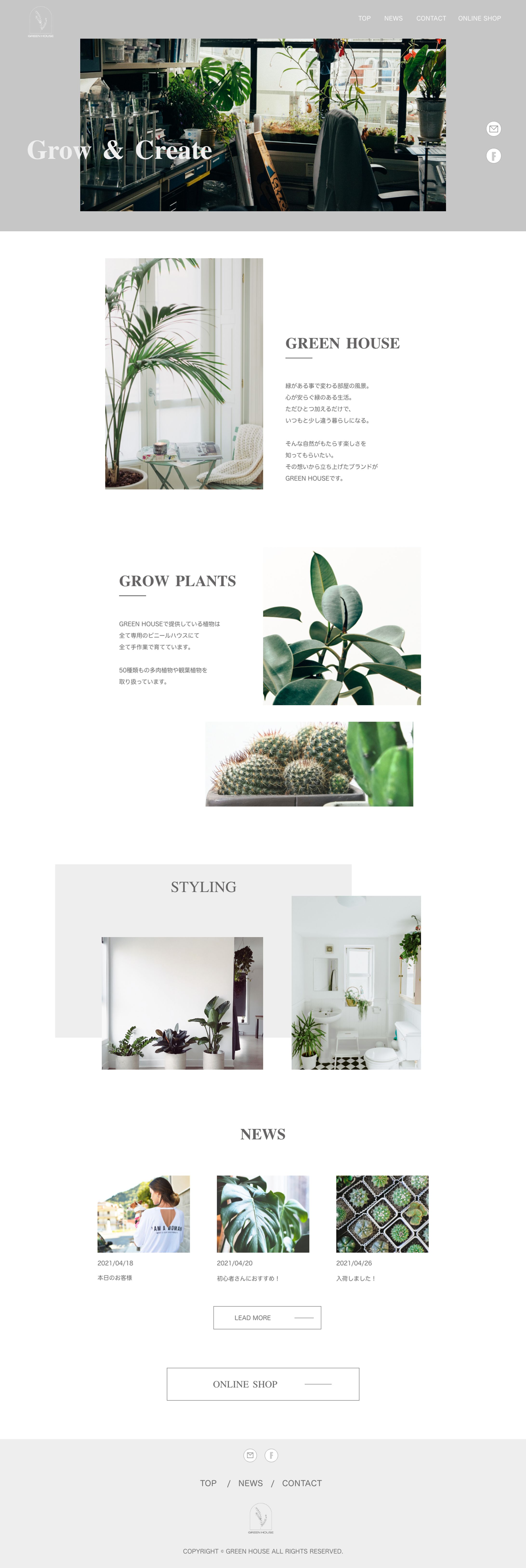 【HP】観葉植物-1