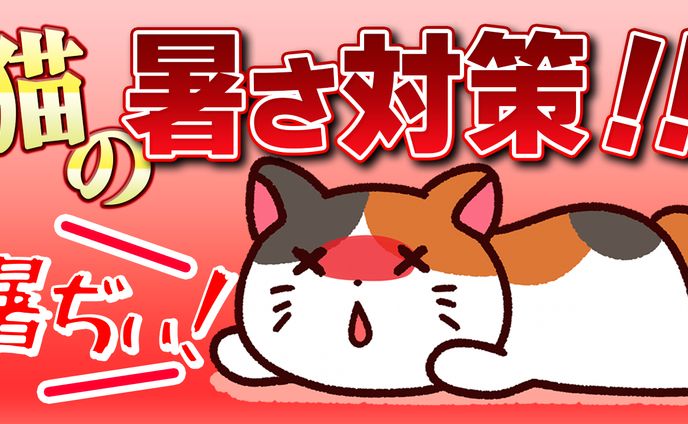 猫の暑さ対策（サムネ）