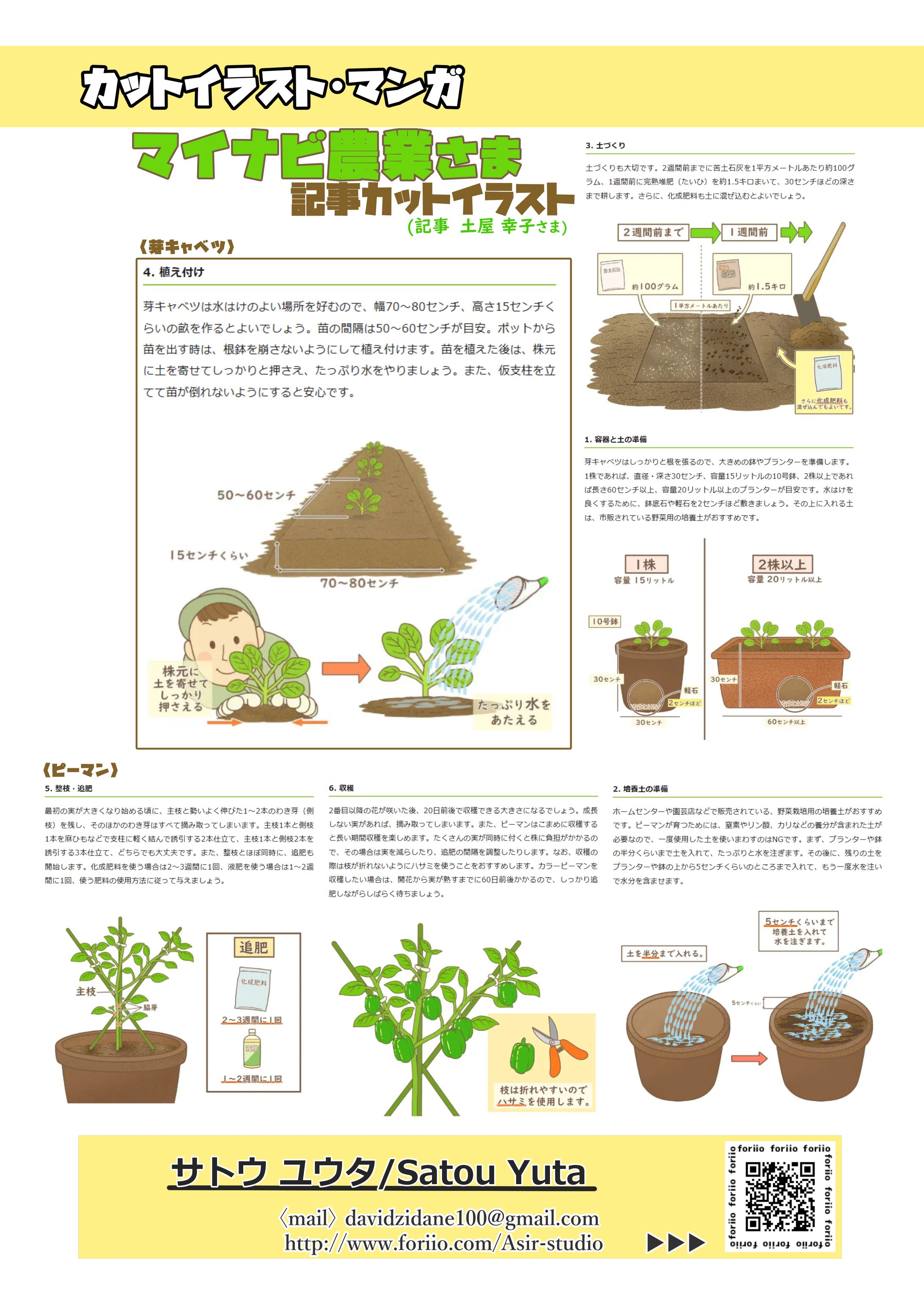 家庭菜園 記事カットイラスト-1