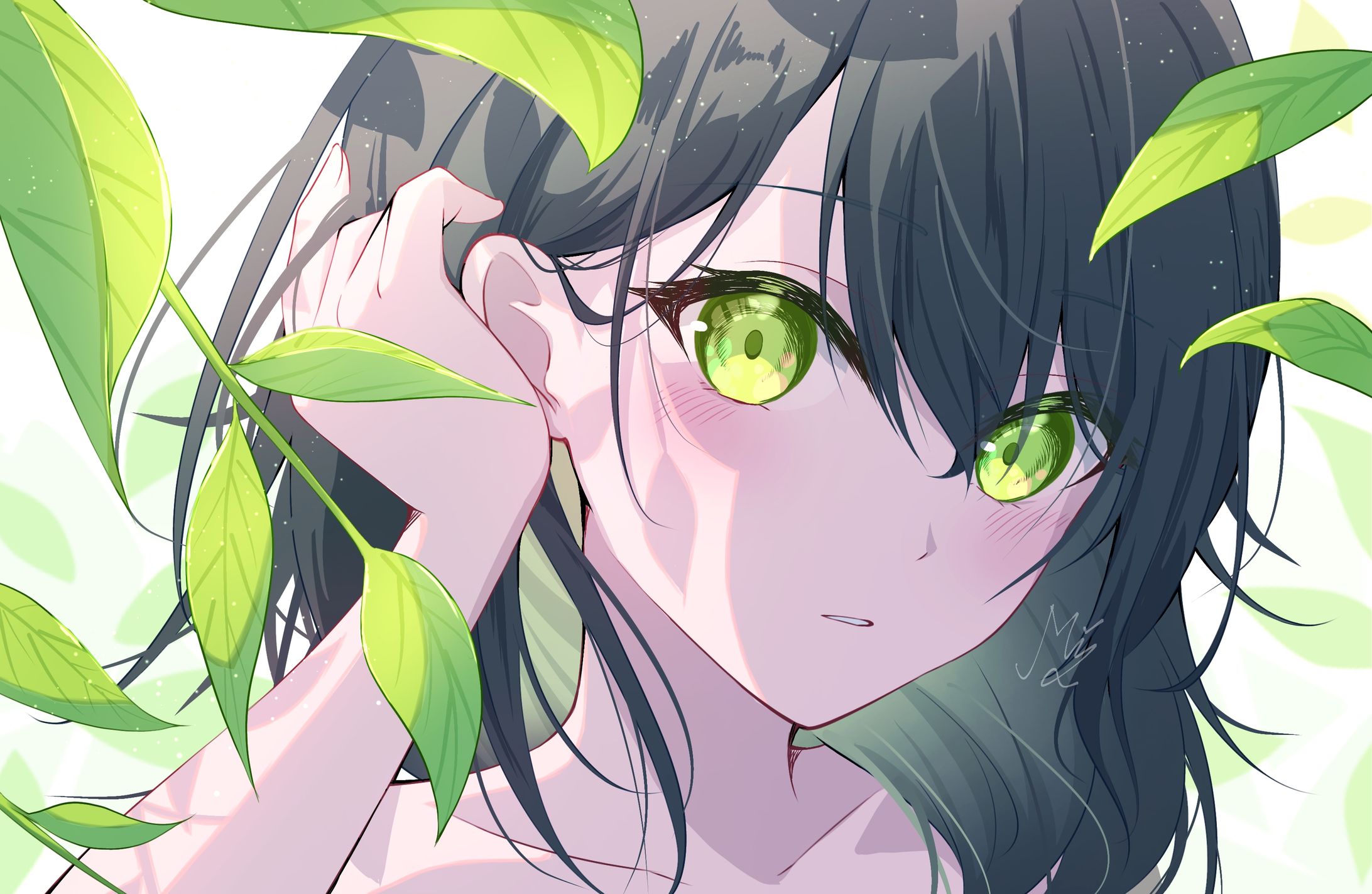 春花秋月-1