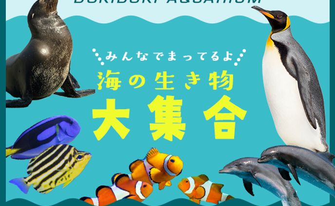 水族館バナーコピー
