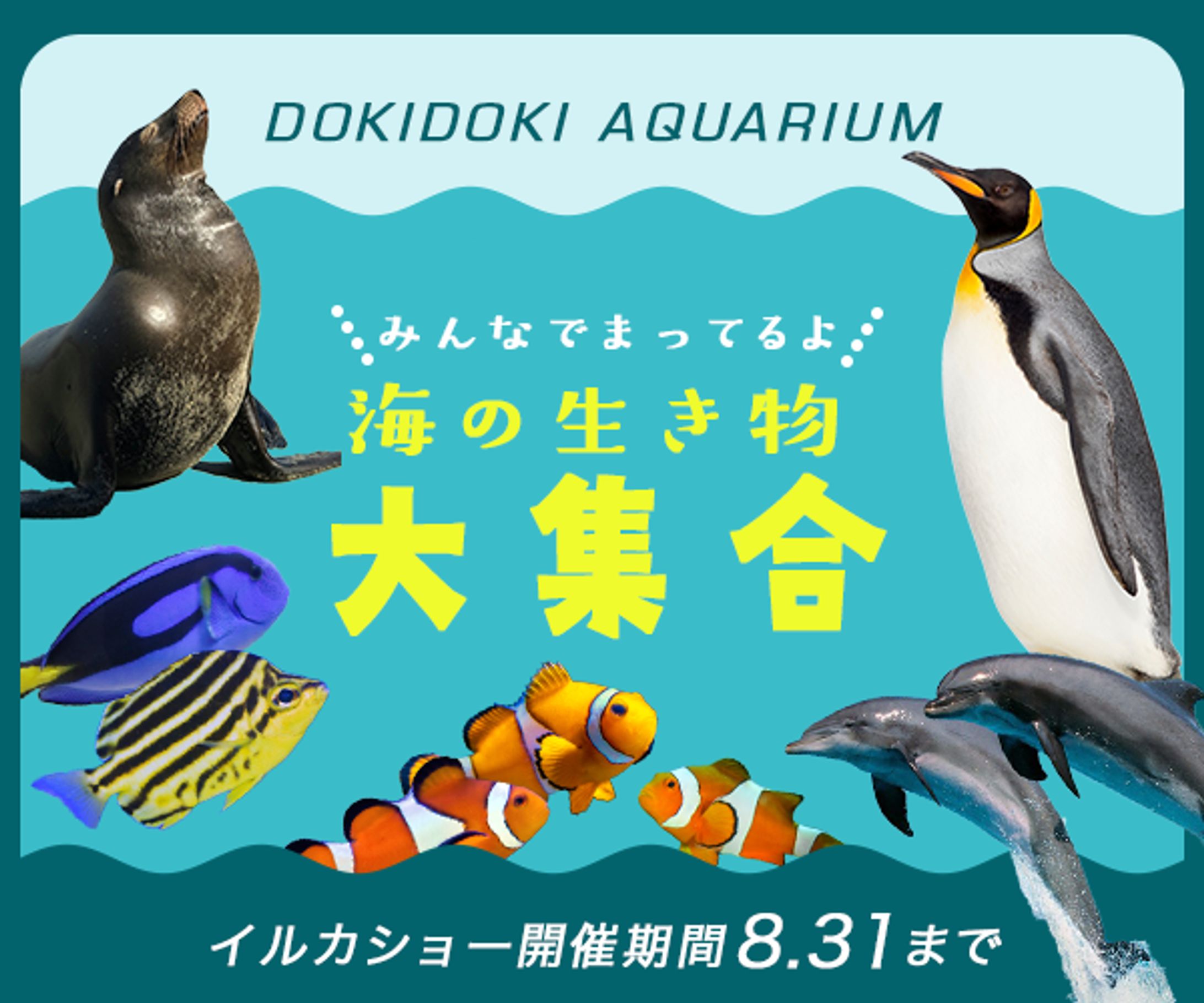 水族館バナーコピー-1