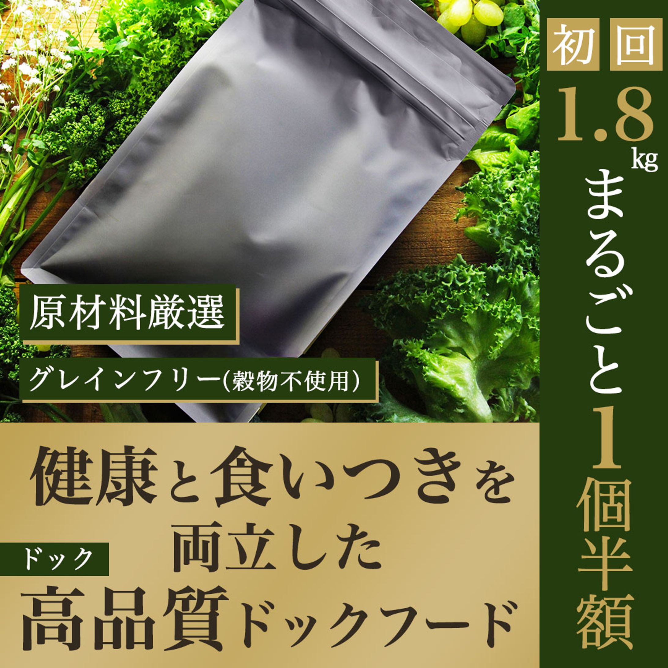 【静止画】ドックフードバナー-1