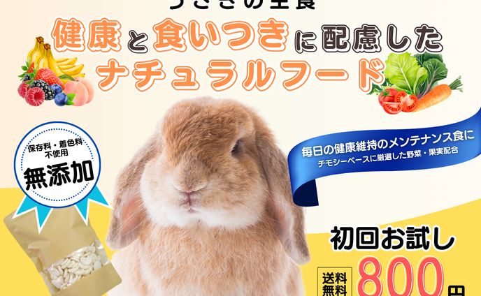 アニマルフード初回購入バナー