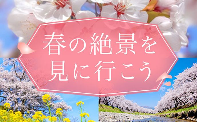 観光ツアー　バナー