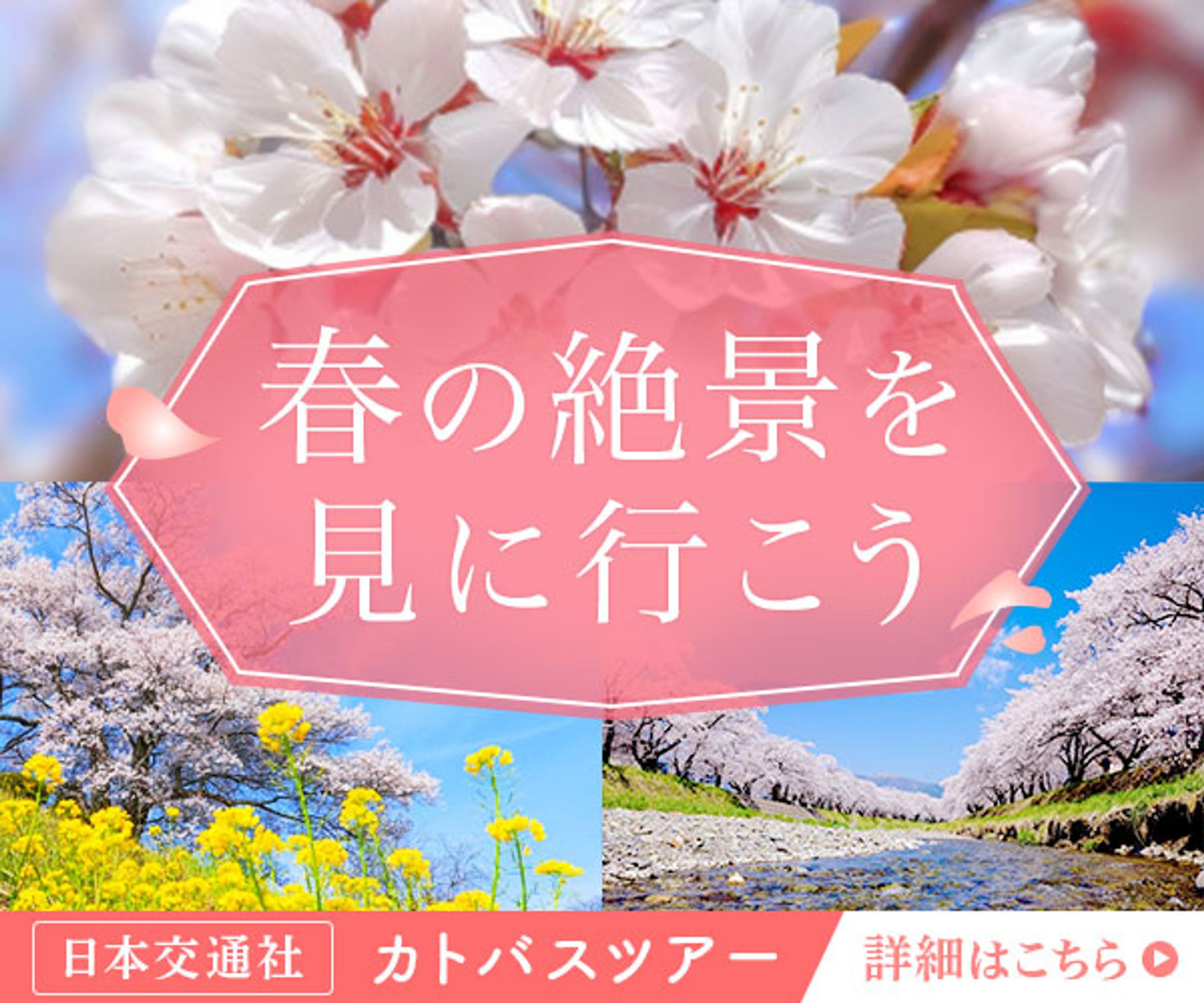 観光ツアー　バナー-1