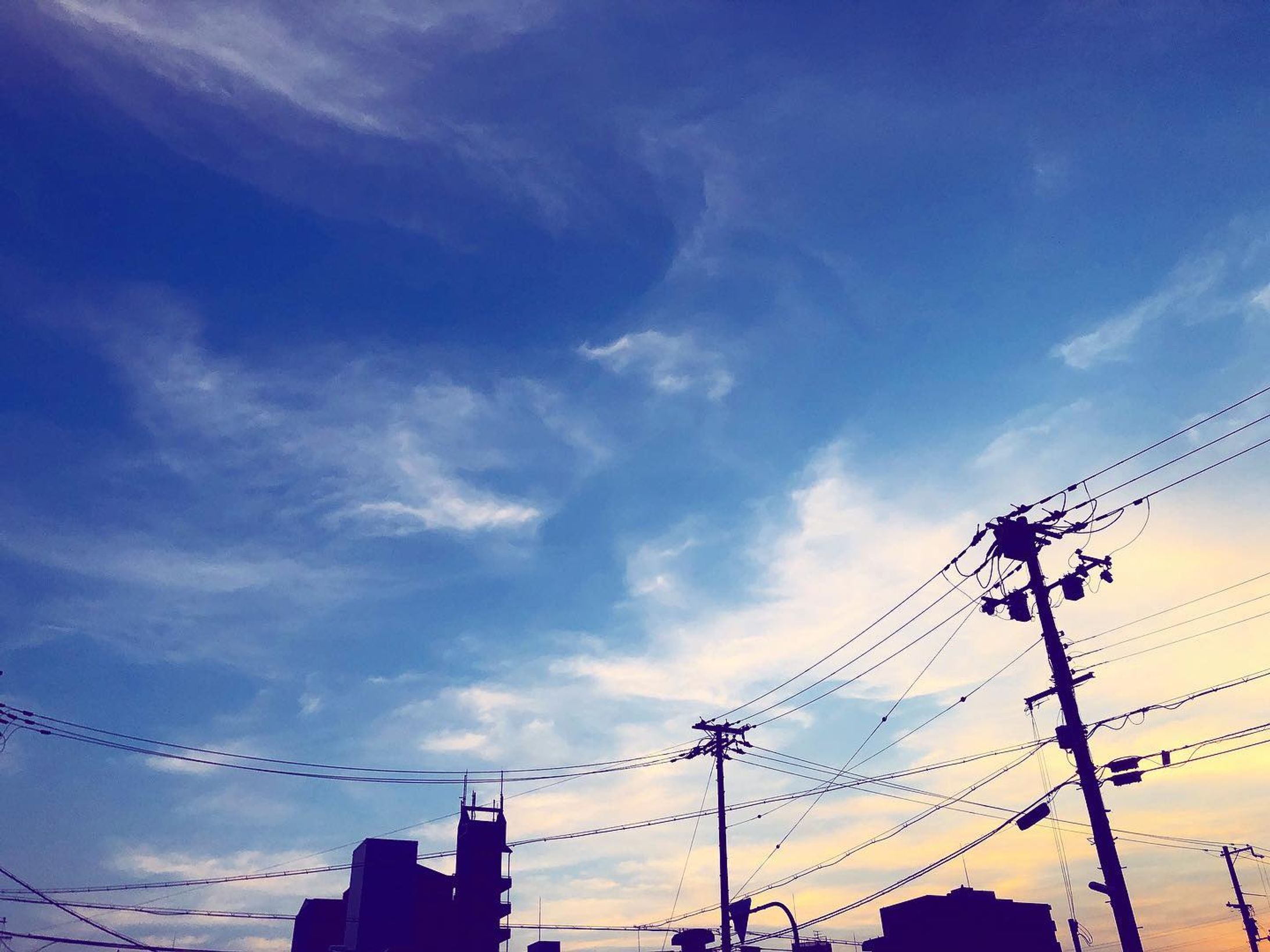 #sky#空#景色#青空

foodieさんめちゃくちゃ画質良くなってすげえ愛してる-1