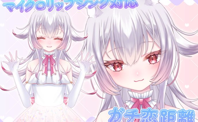 コラボモデル、etc